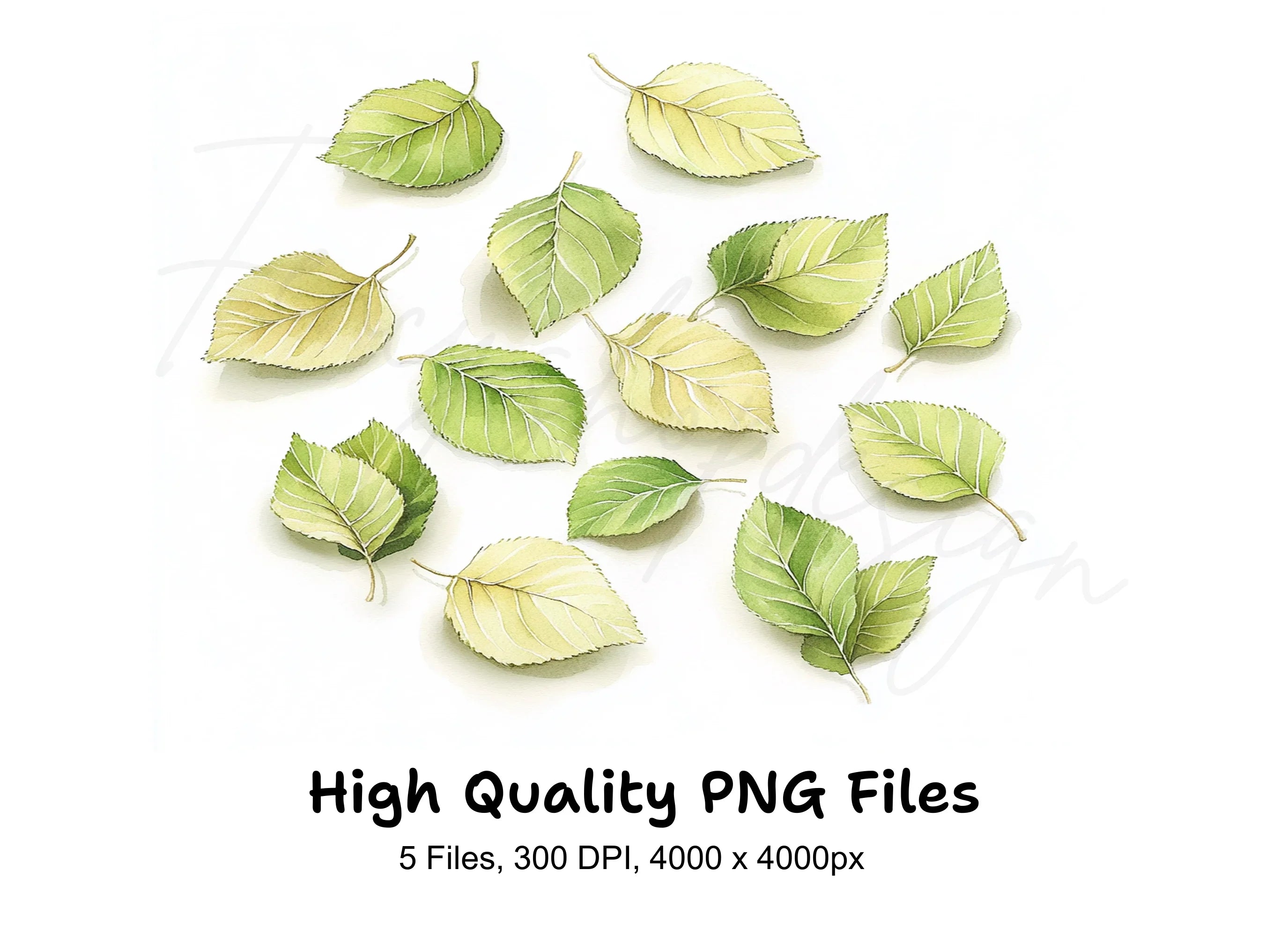 Green Leaves Clipart Bundle