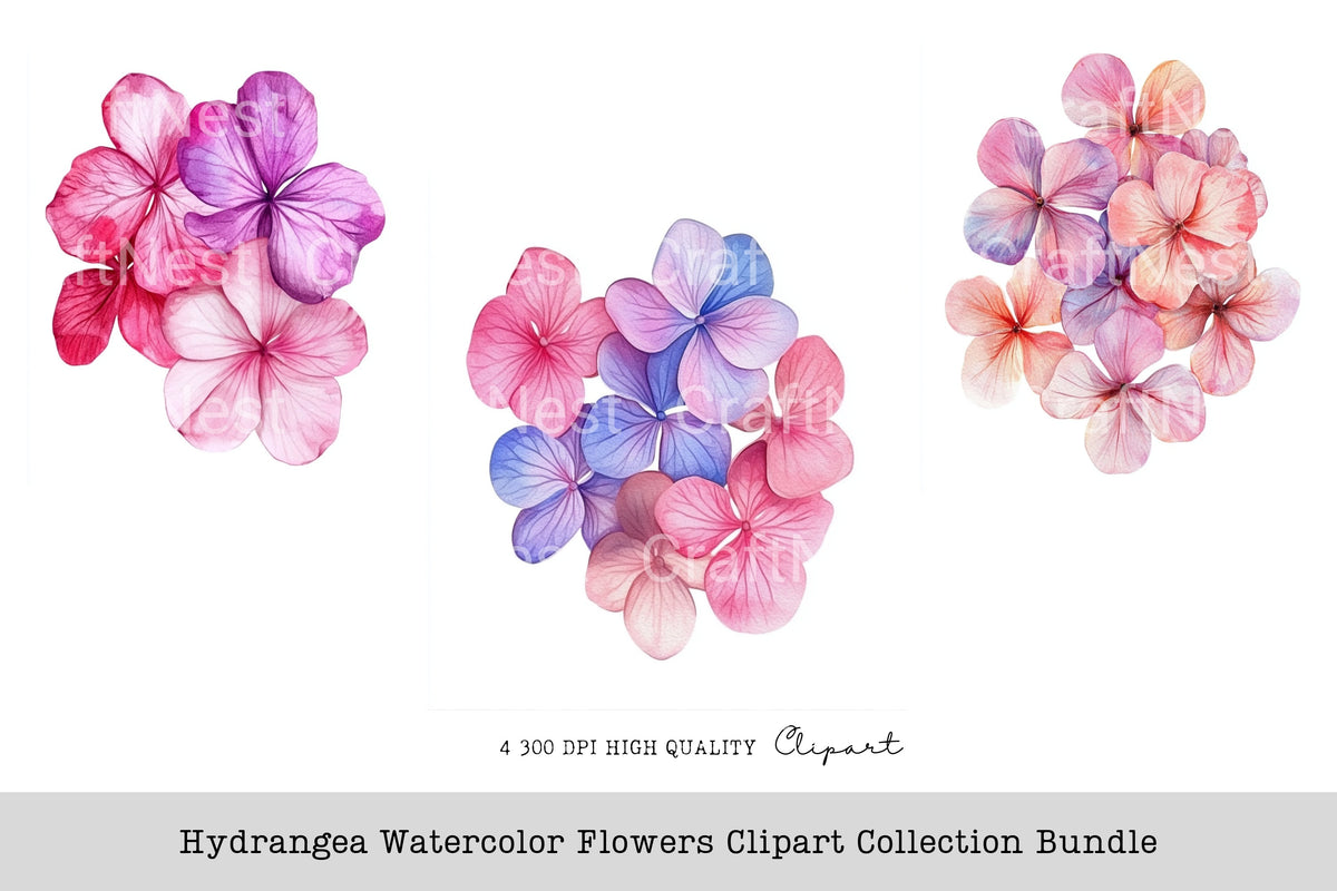Hydrangea Flowers Clipart Bundle