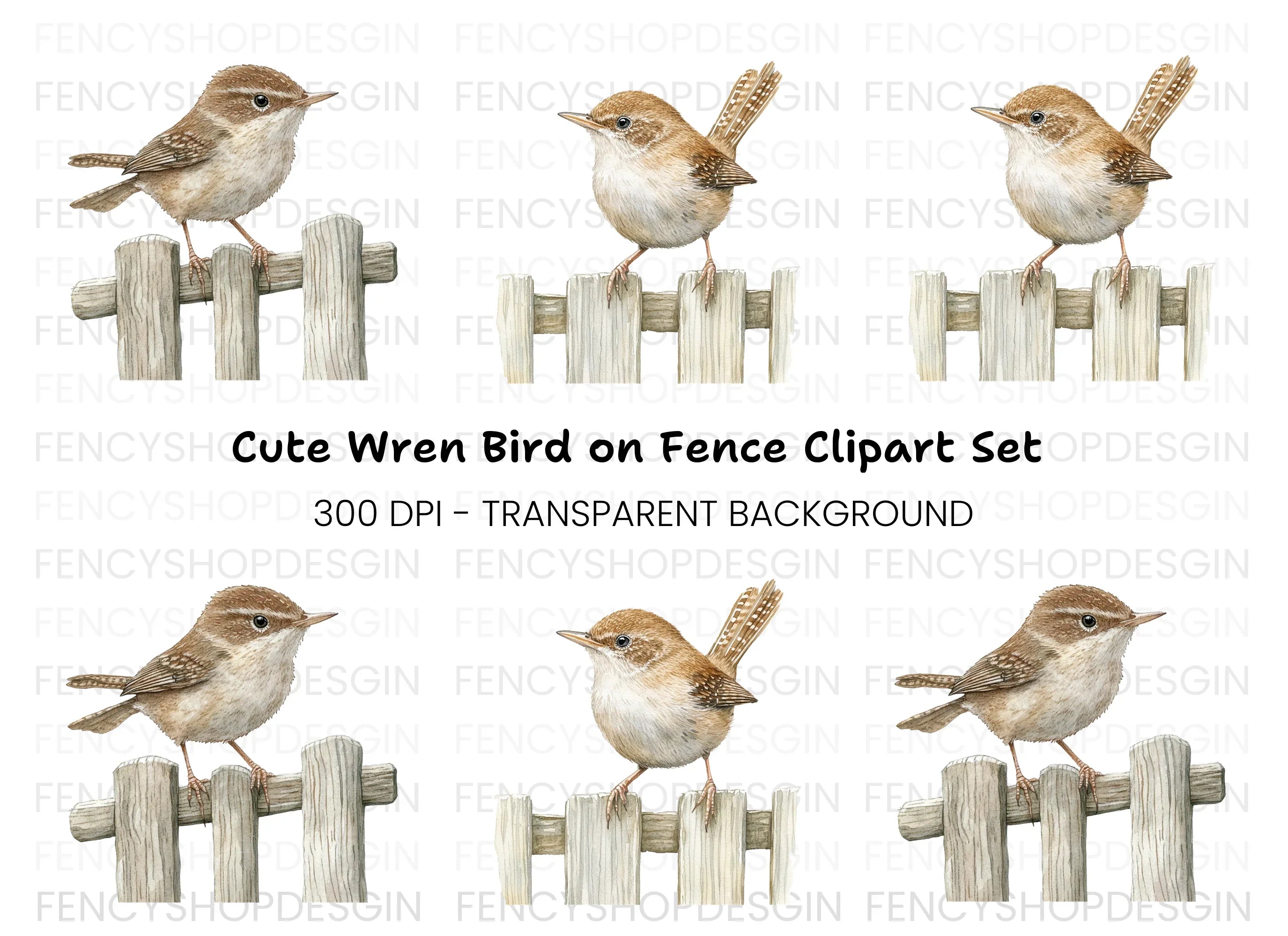 Cute Wren Birds on Fence Clipart Bundle