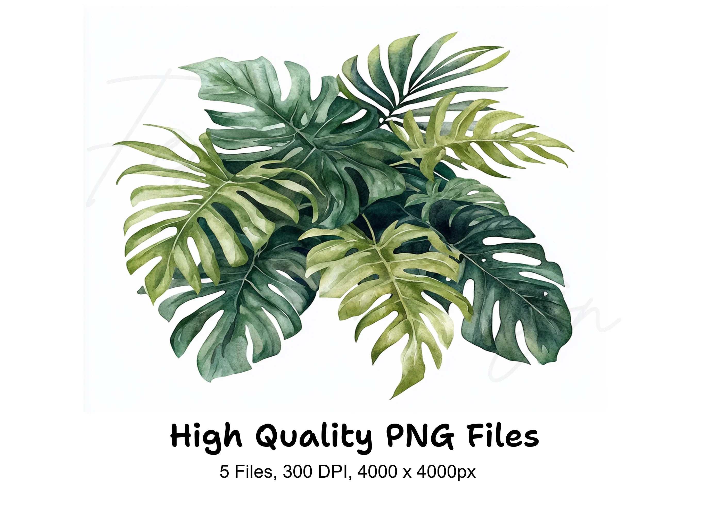 Tropical Leaf Clipart Bundle