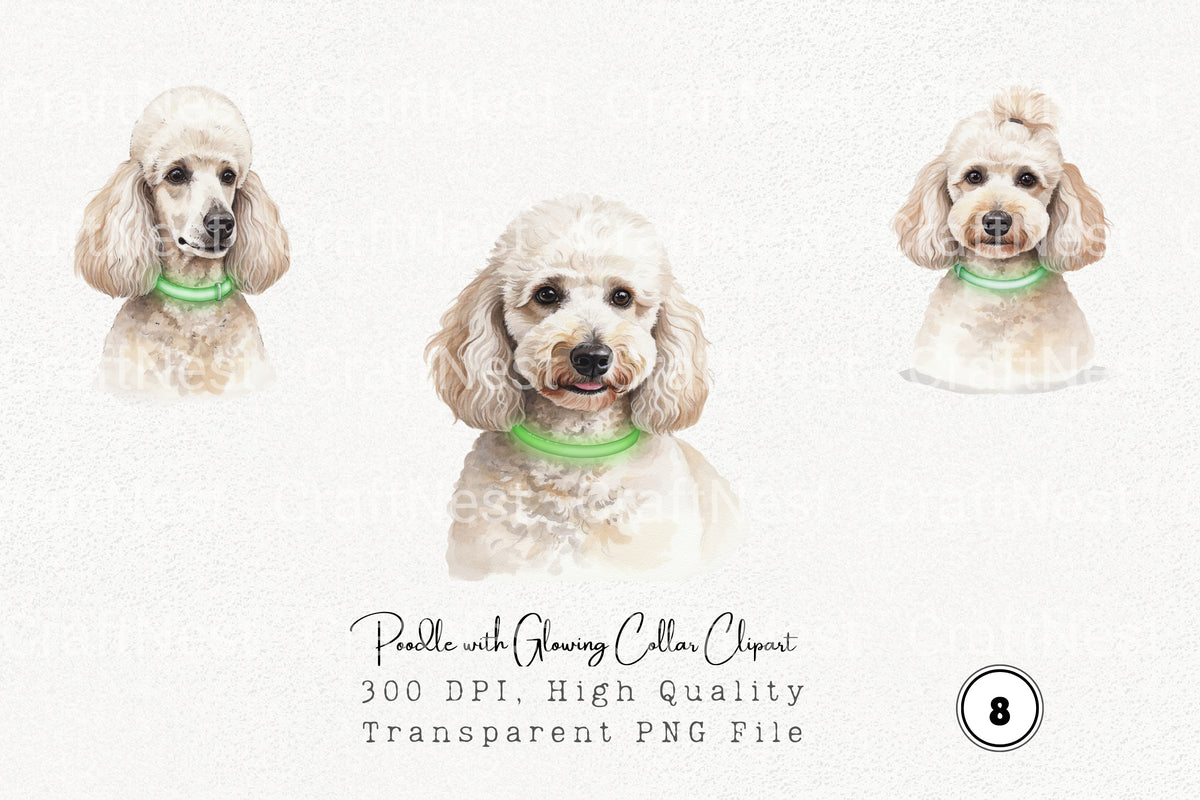 Poodle With Glowing Collar Clipart Bundle