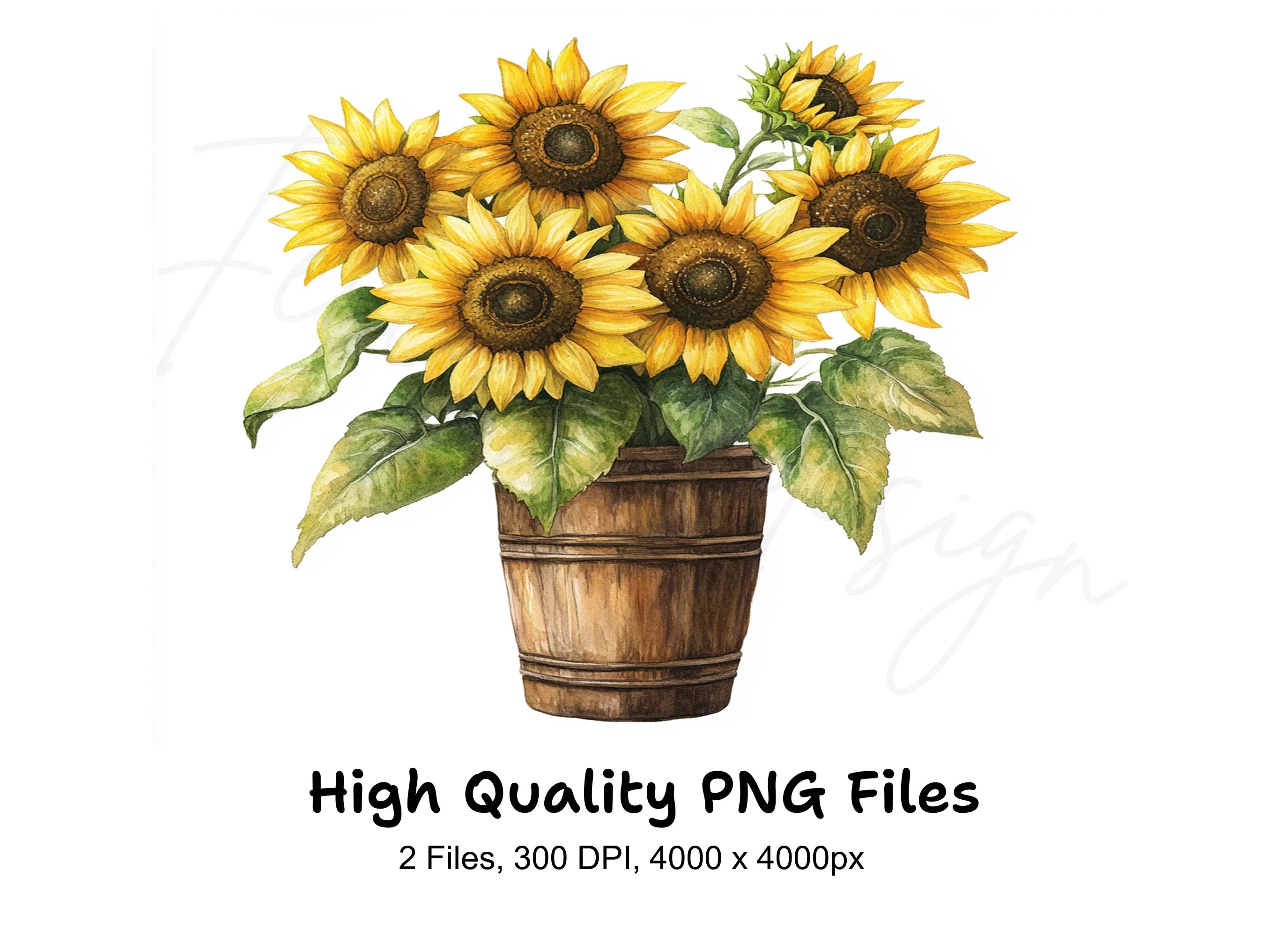 Rustic Sunflower Arrangements Clipart Bundle