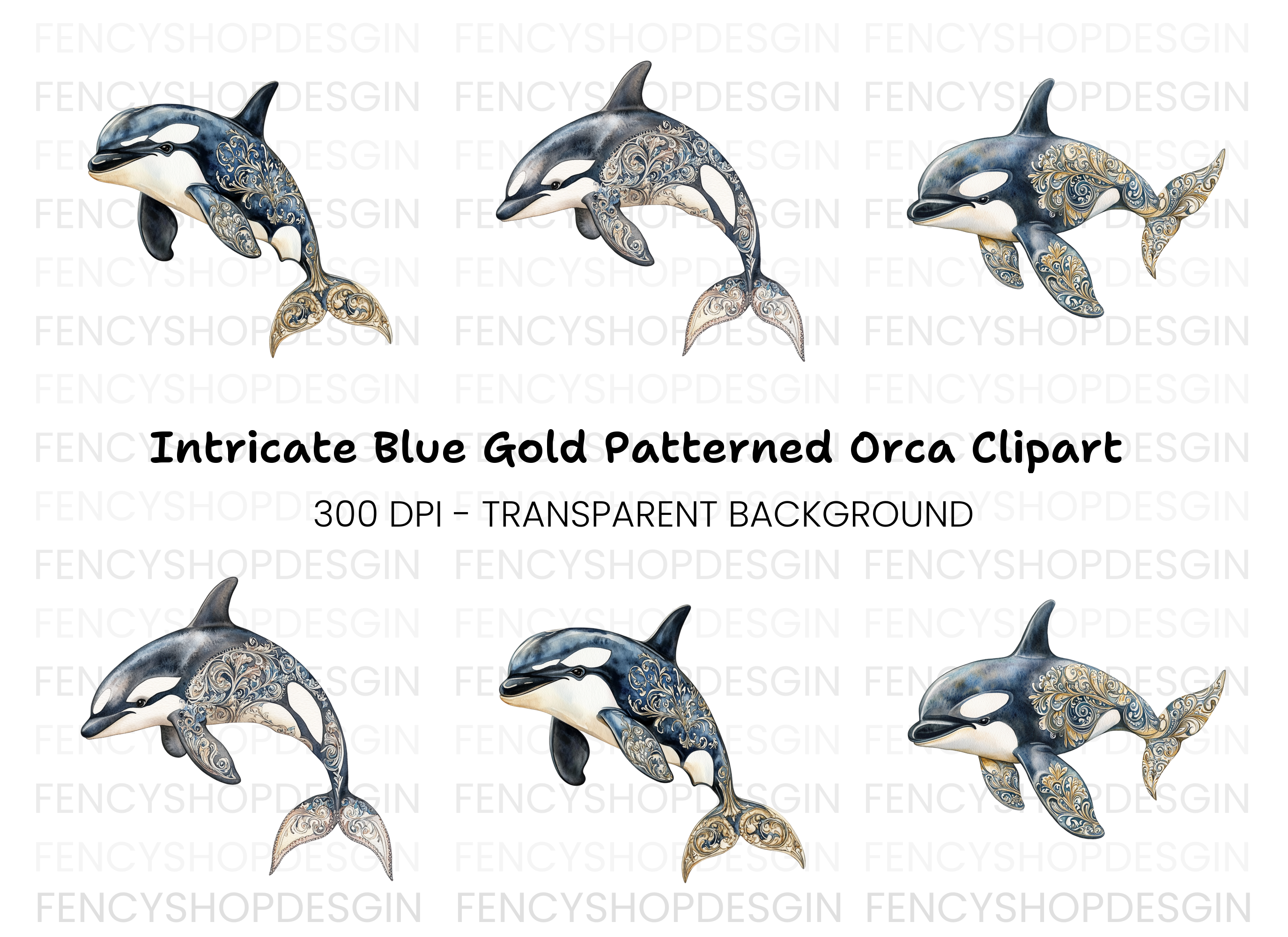 Elegant Orca Whale Clipart Bundle