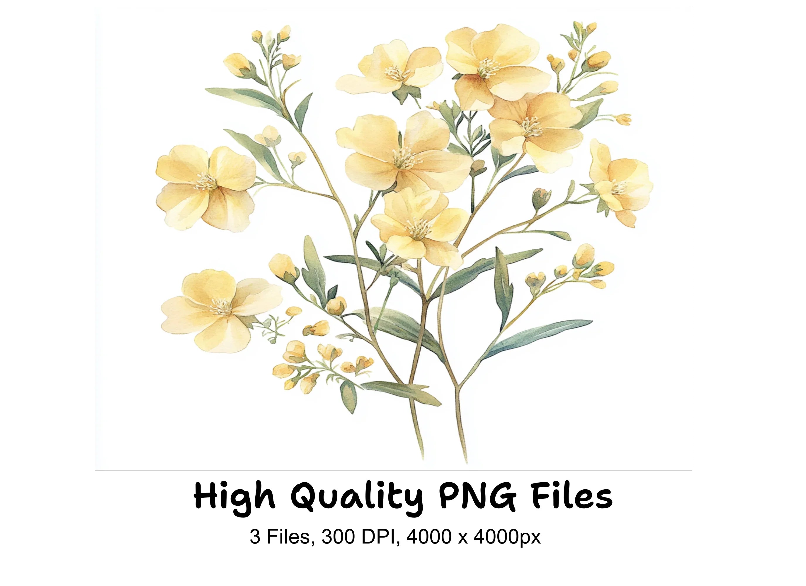 Yellow Flowers Clipart Bundle