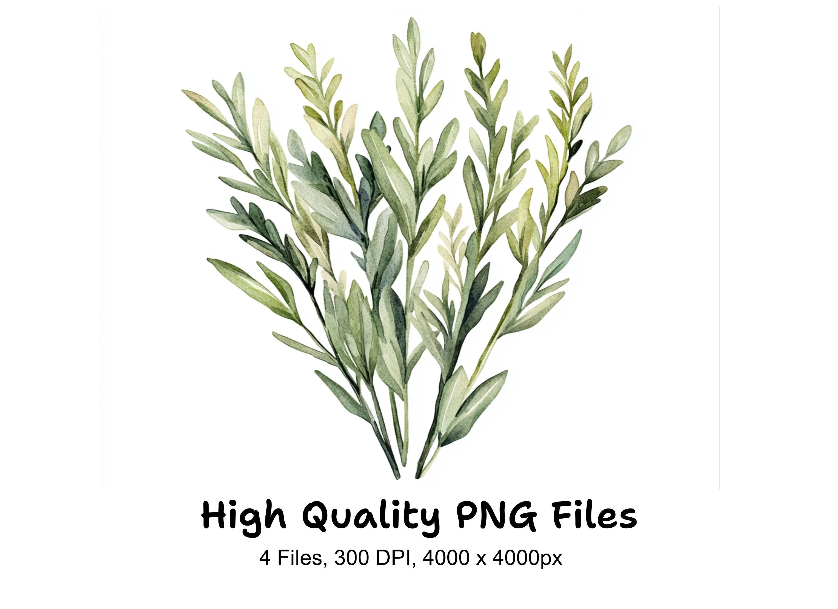 Greenery Branches Clipart Bundle