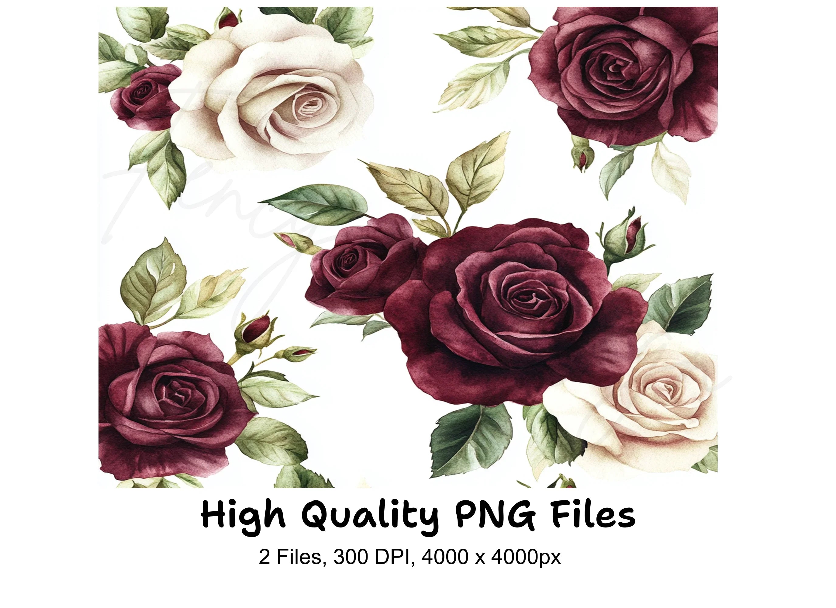Burgundy and White Rose Seamless Pattern Clipart Bundle