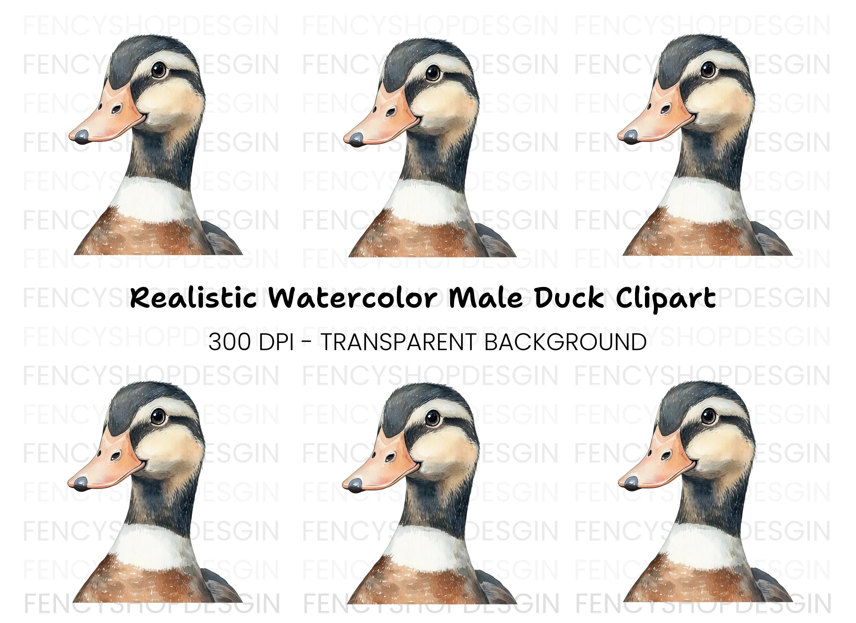 Cute Duckling Clipart Bundle
