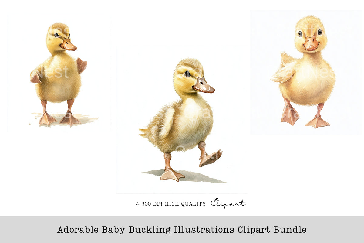 Adorable Baby Duckling Illustrations Clipart Bundle