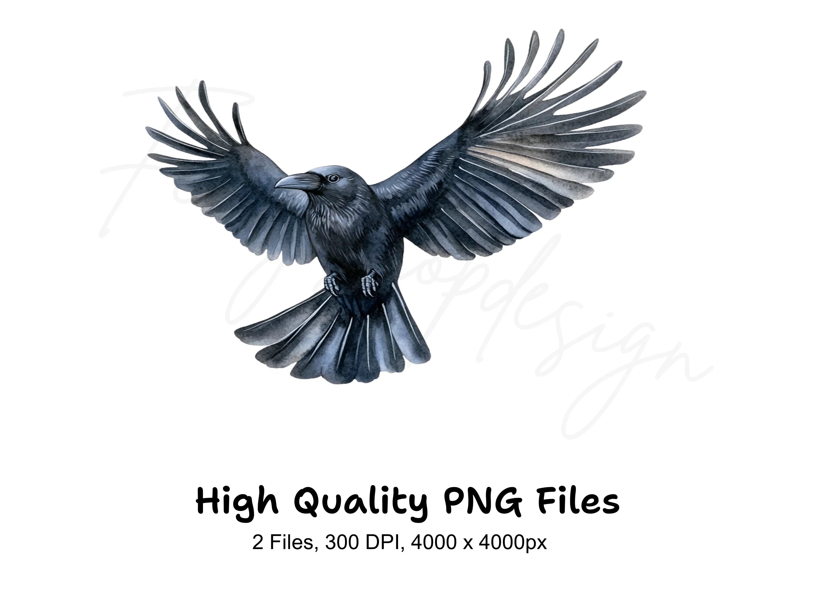 Flying Raven Clipart Bundle