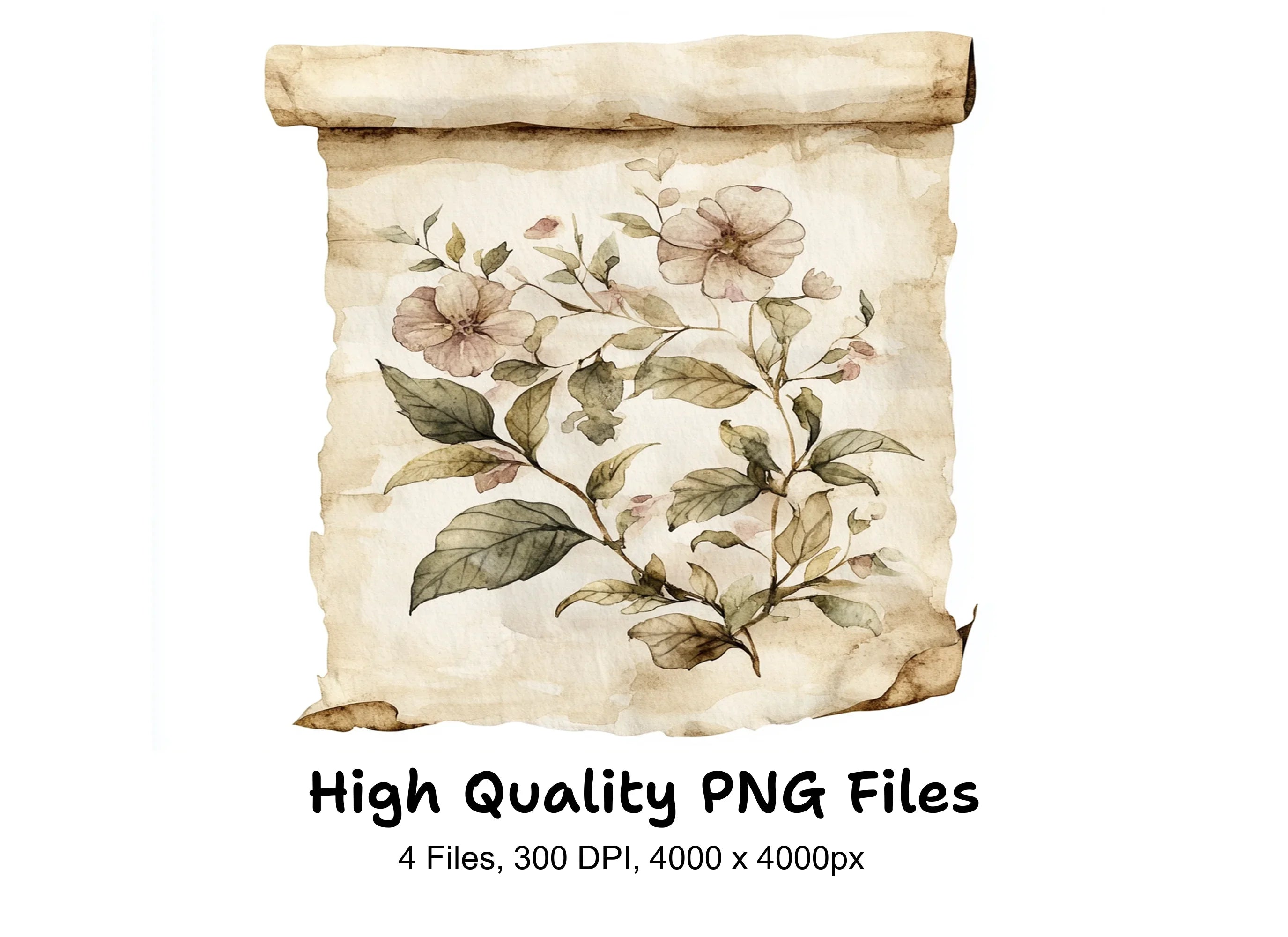 Vintage Floral Scroll Clipart Bundle