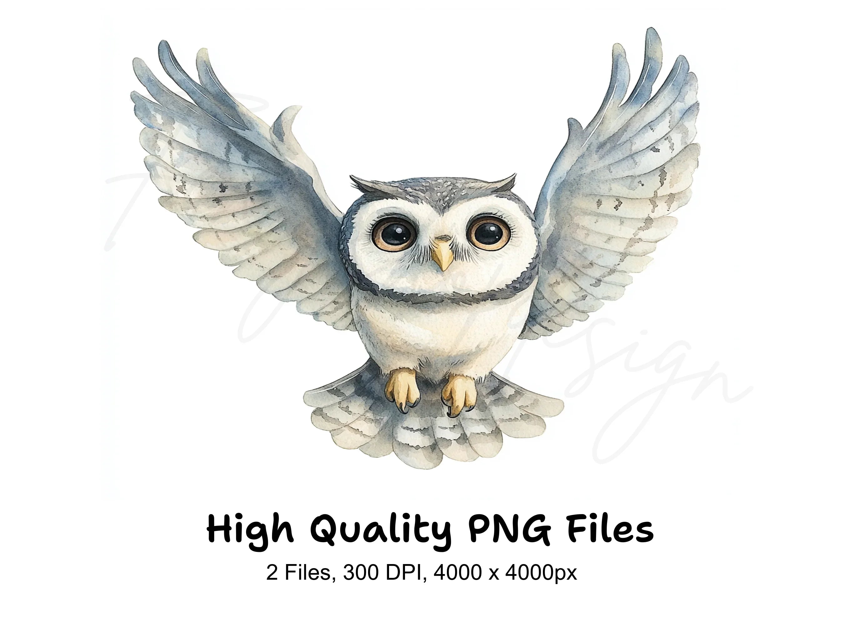 Cute Flying Owl Clipart Bundle