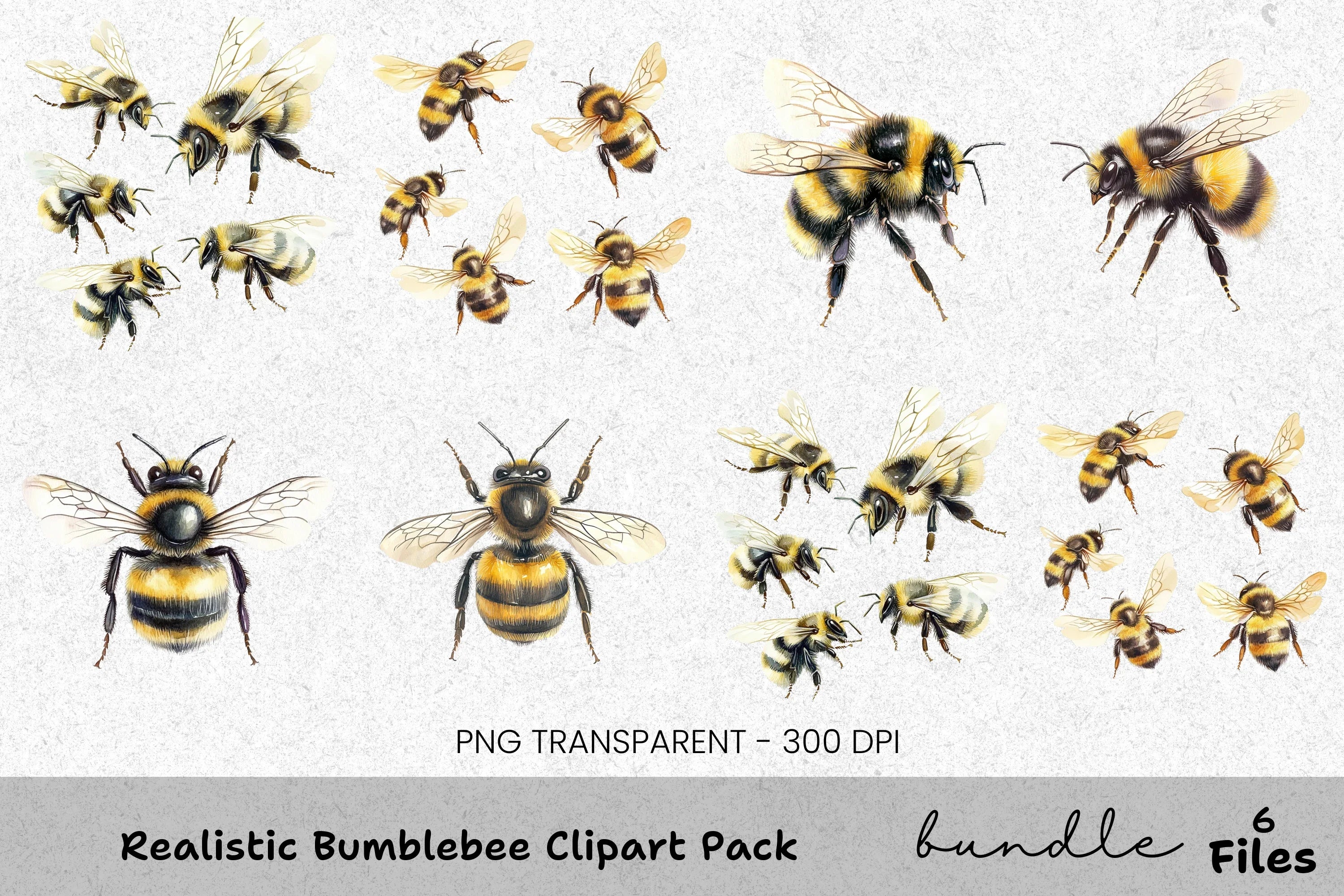 Realistic Bumblebee Clipart Bundle
