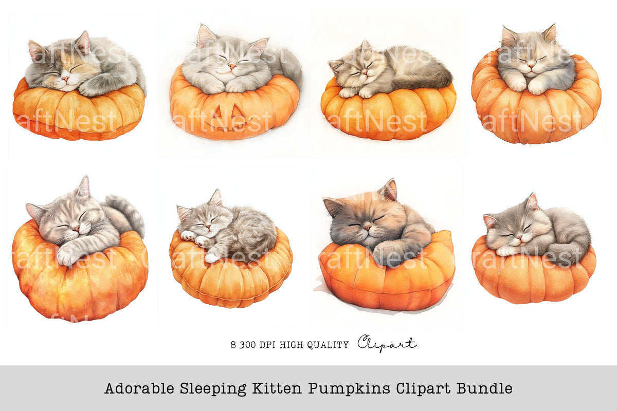 Adorable Sleeping Kitten Pumpkins Clipart Bundle