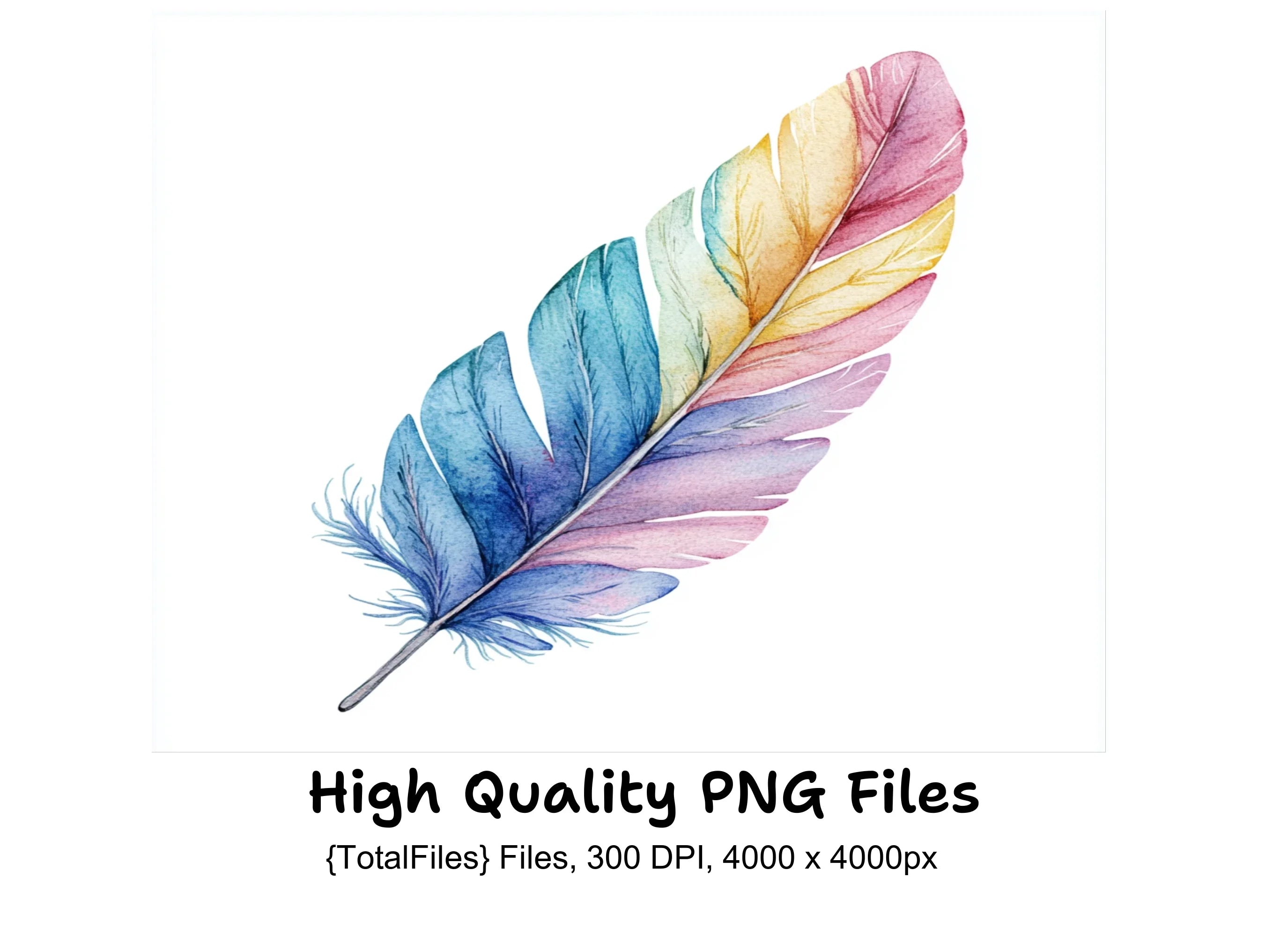 Vibrant Feather Illustrations Clipart Bundle