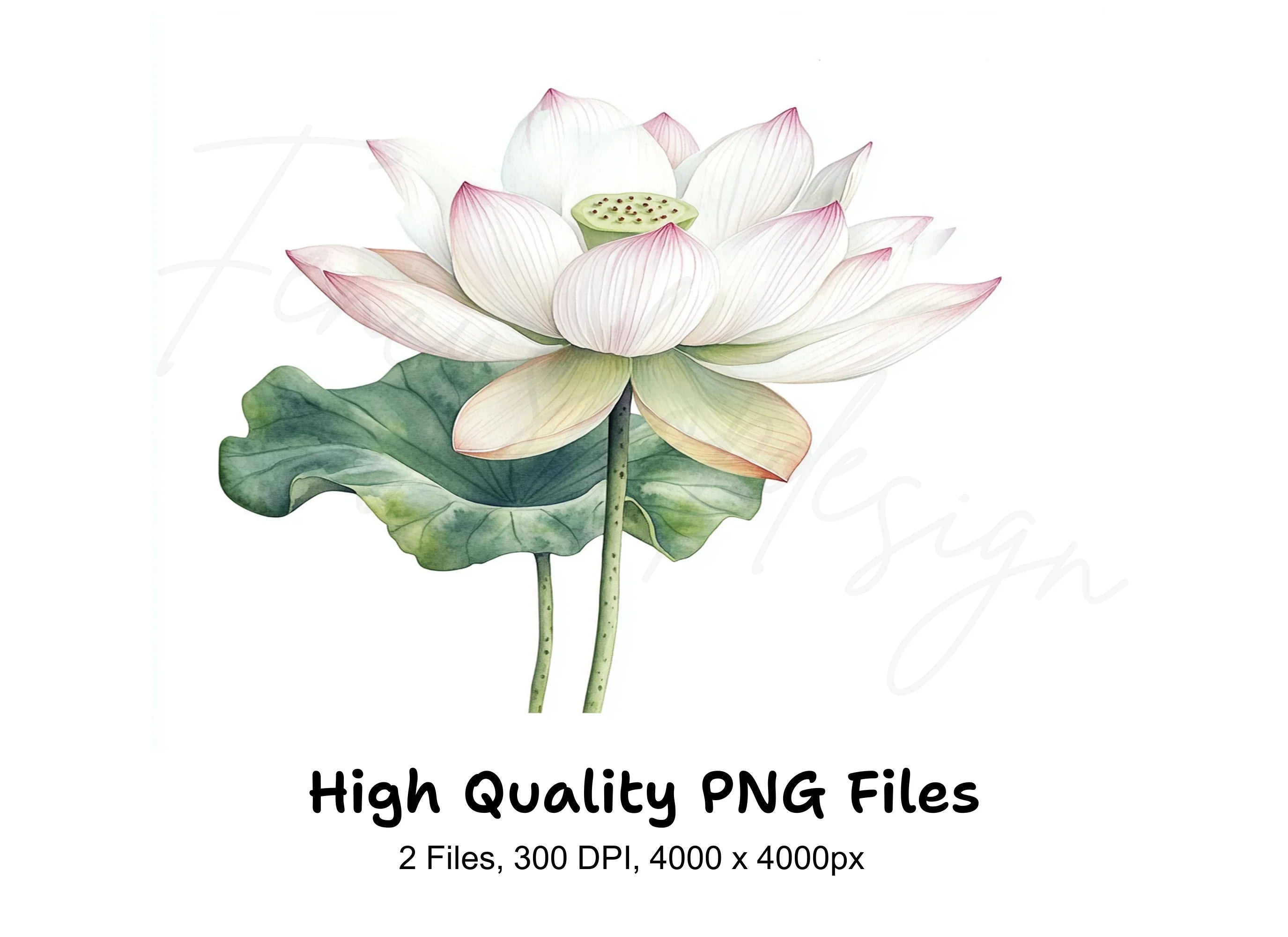 Elegant Lotus Flower Clipart Bundle