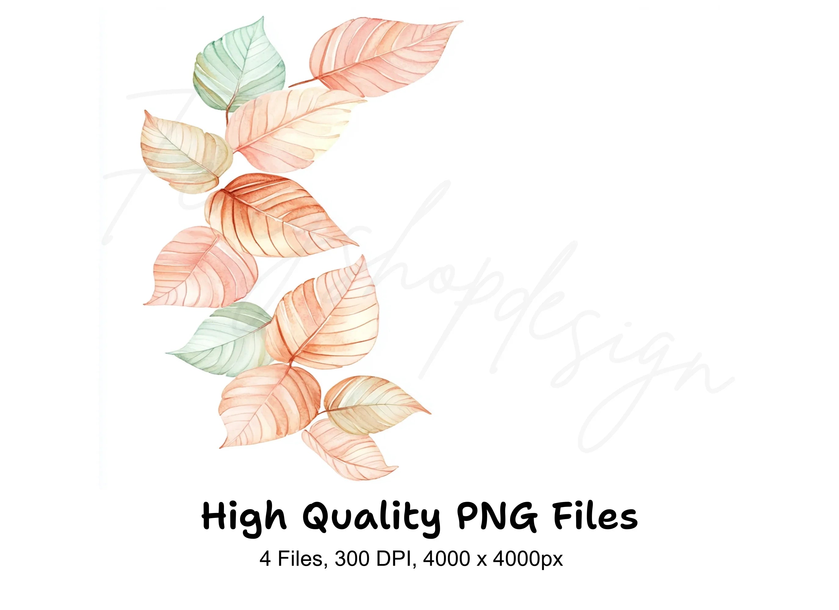 Pastel Leaf Wreaths Borders Clipart Bundle