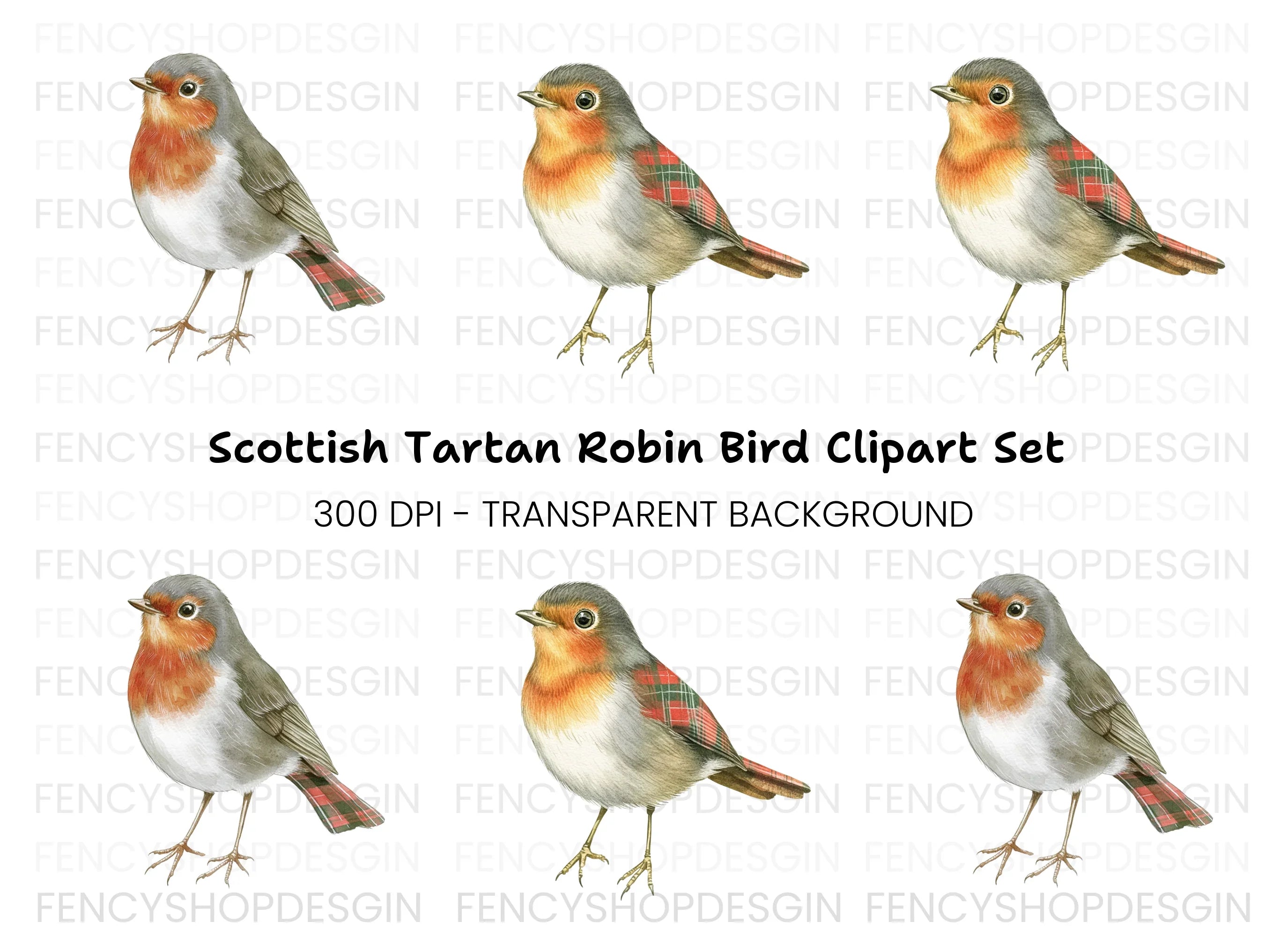 Charming Robin Bird Clipart Bundle