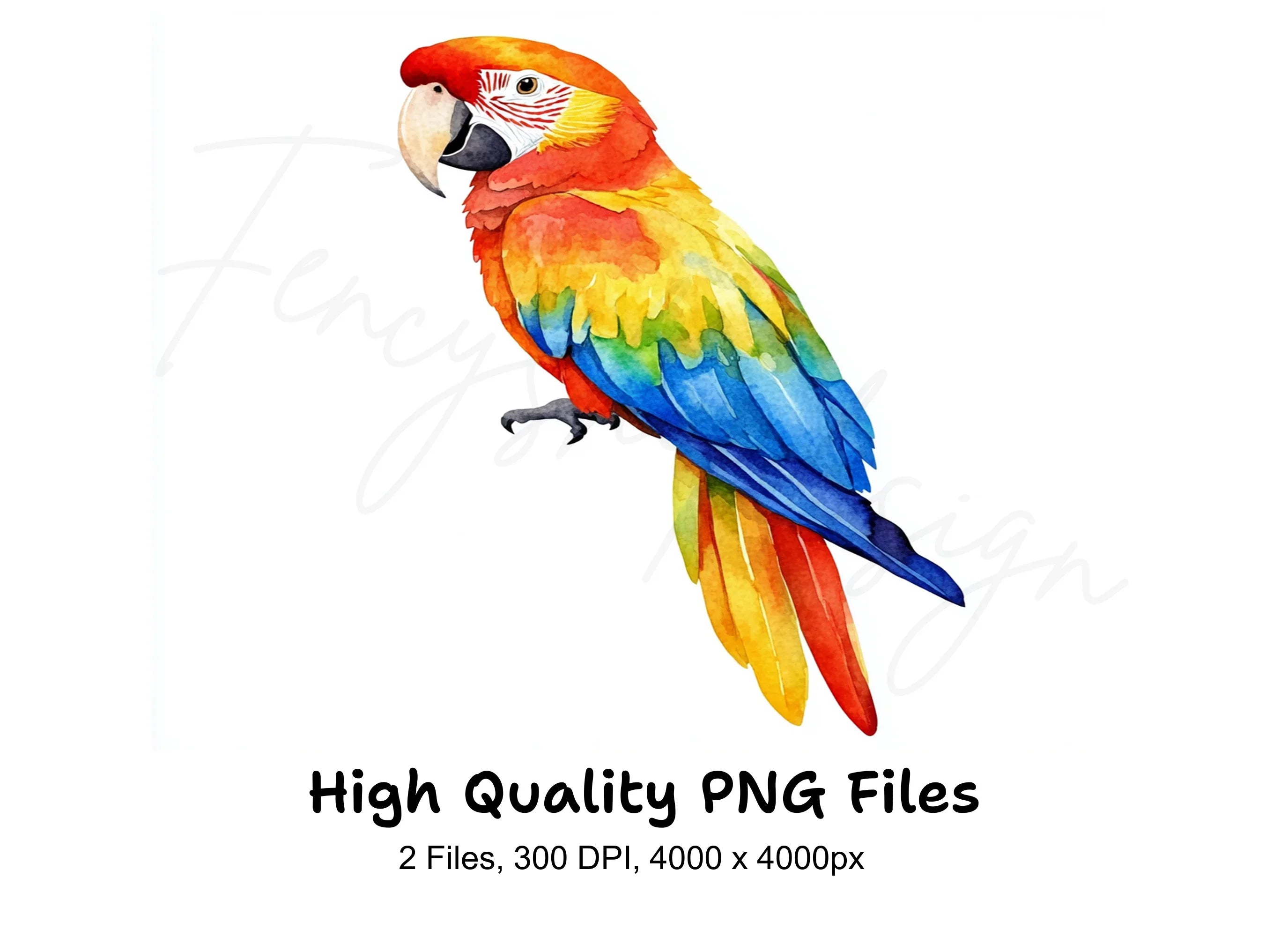 Vibrant Macaw Parrot Clipart Bundle