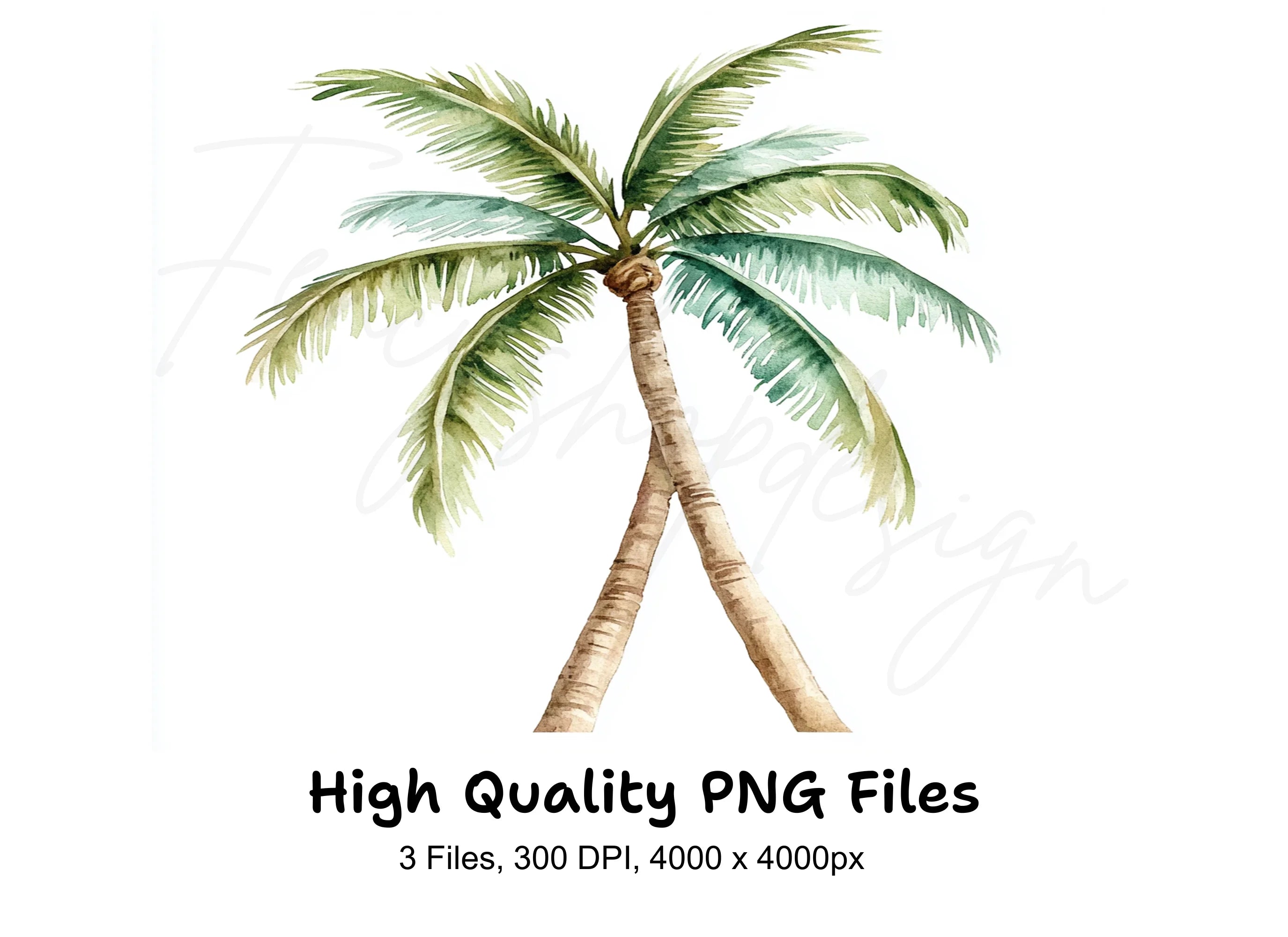 Palm Tree Clipart Bundle