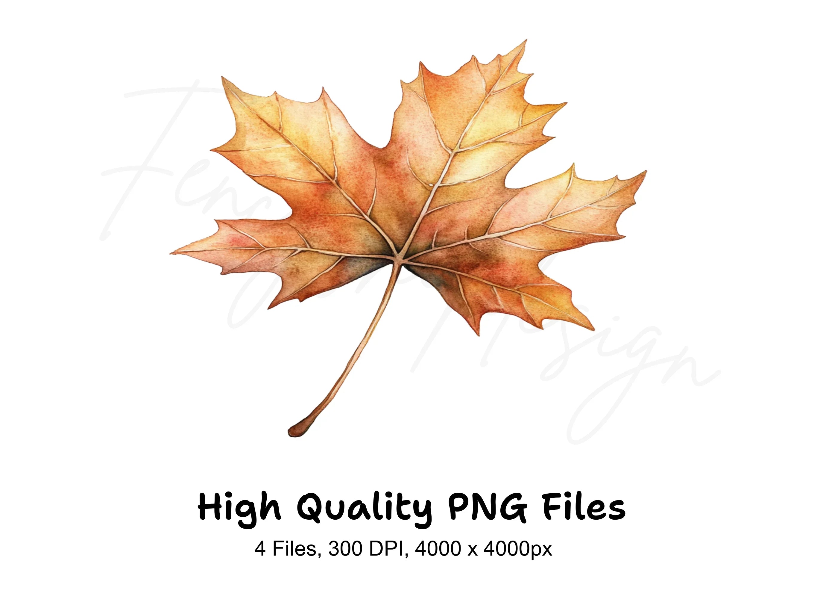 Autumn Maple Leaves Clipart Bundle