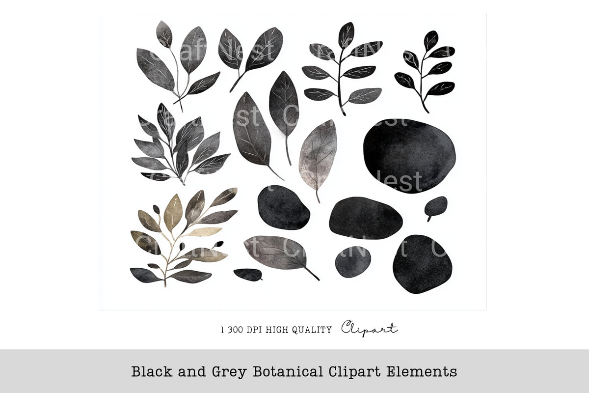 Black And Grey Botanical Elements Clipart Bundle