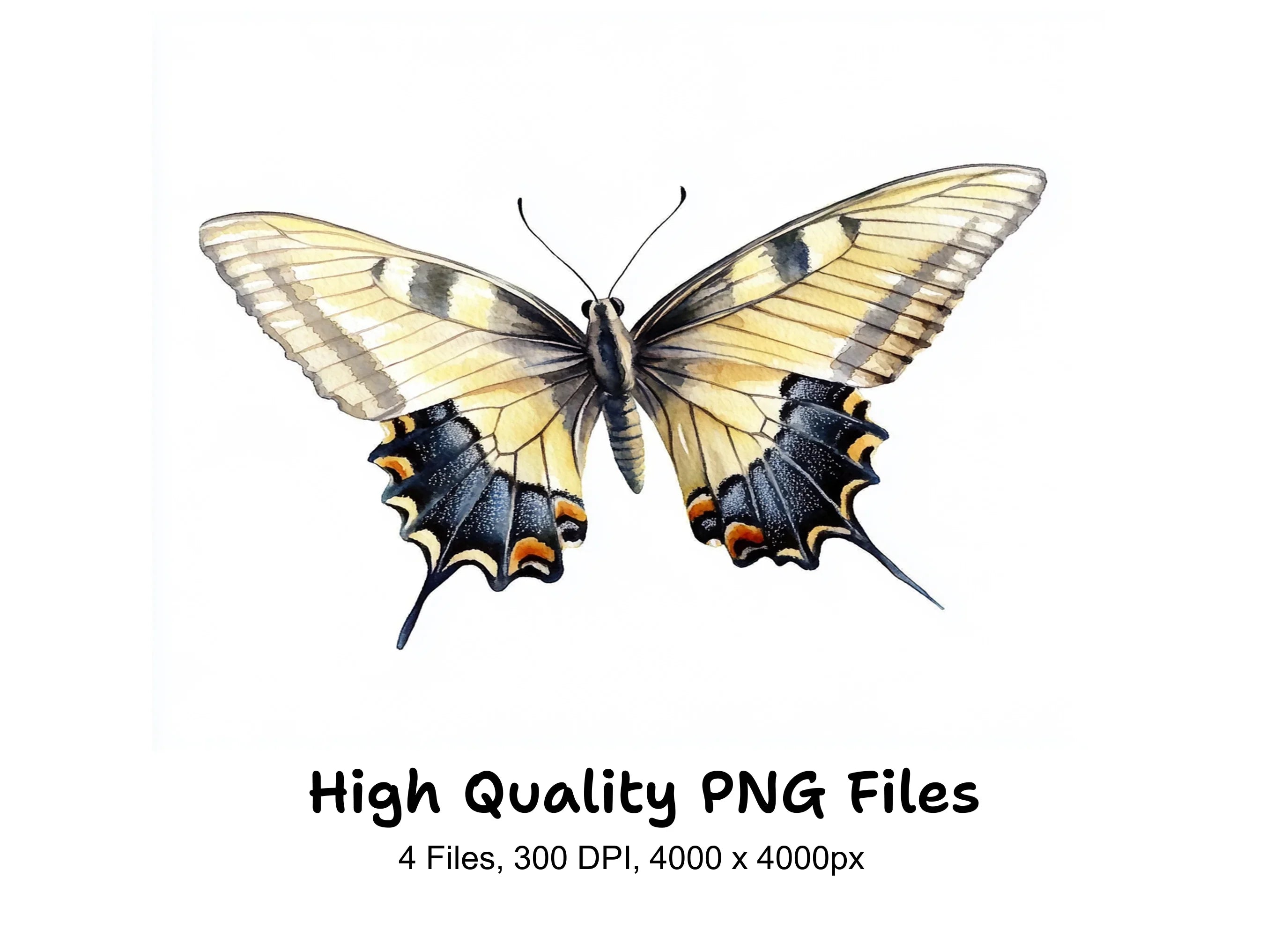 Dynamic Butterfly Clipart Bundle