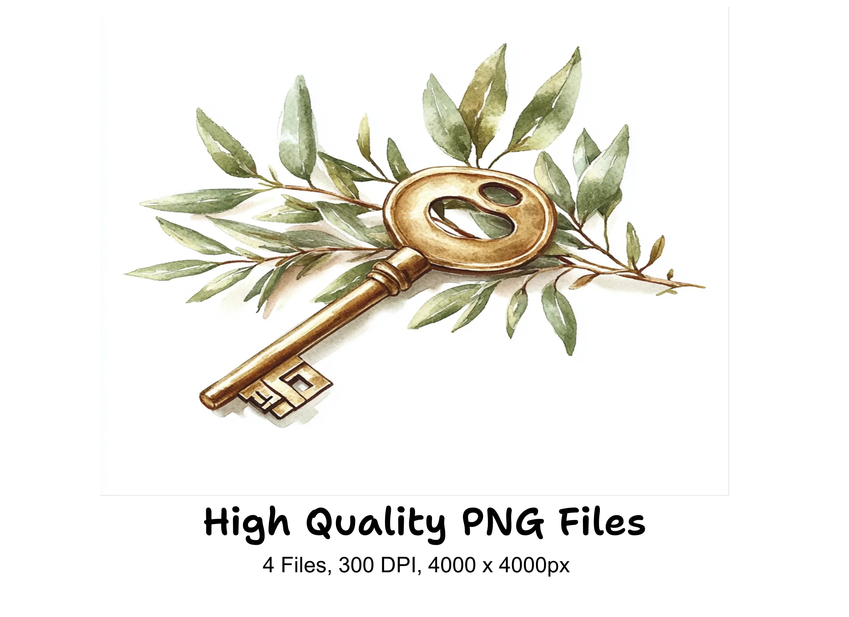 Olive Branch Keys Clipart Bundle