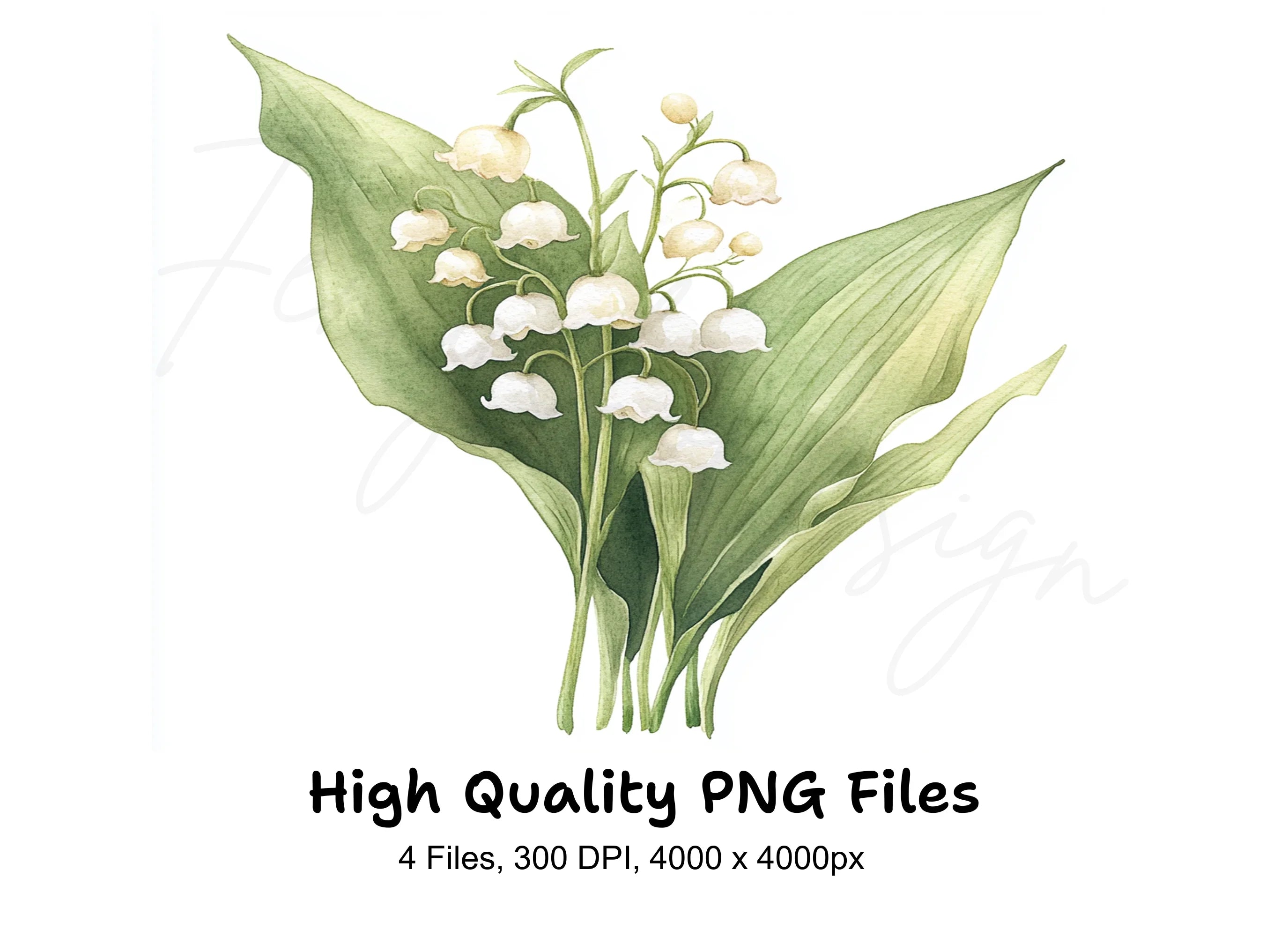 Lily of the Valley Clipart Bundle