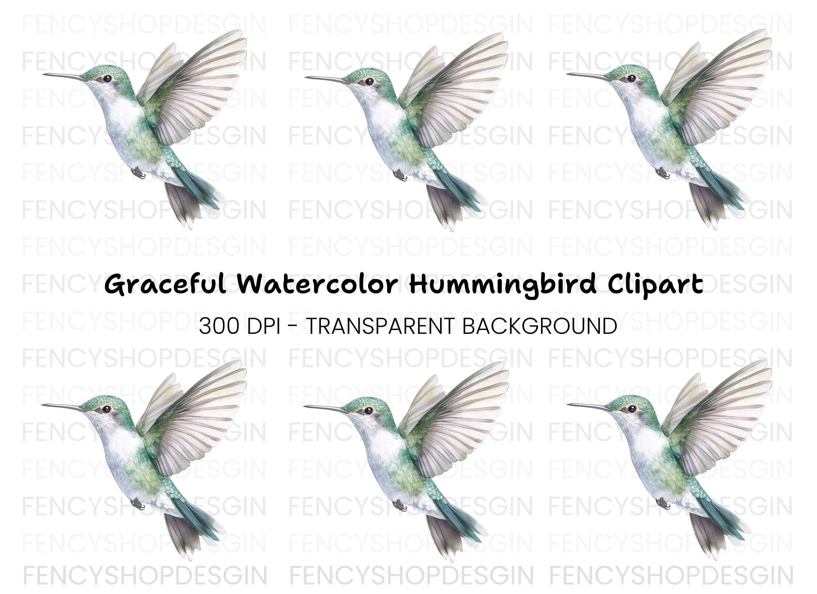 Hummingbird Clipart Bundle