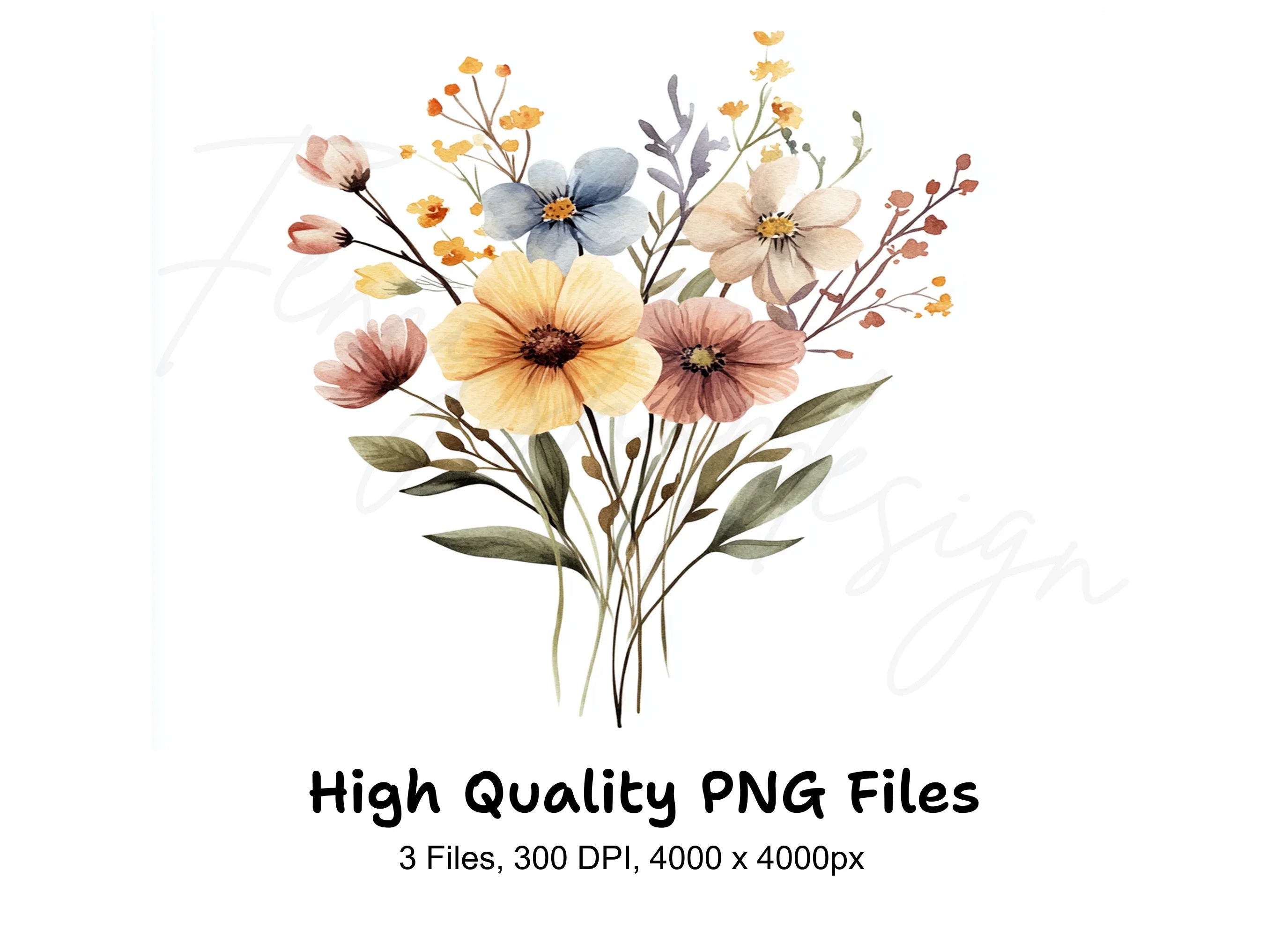 Delicate Wildflower Bouquet Illustrations Clipart Bundle
