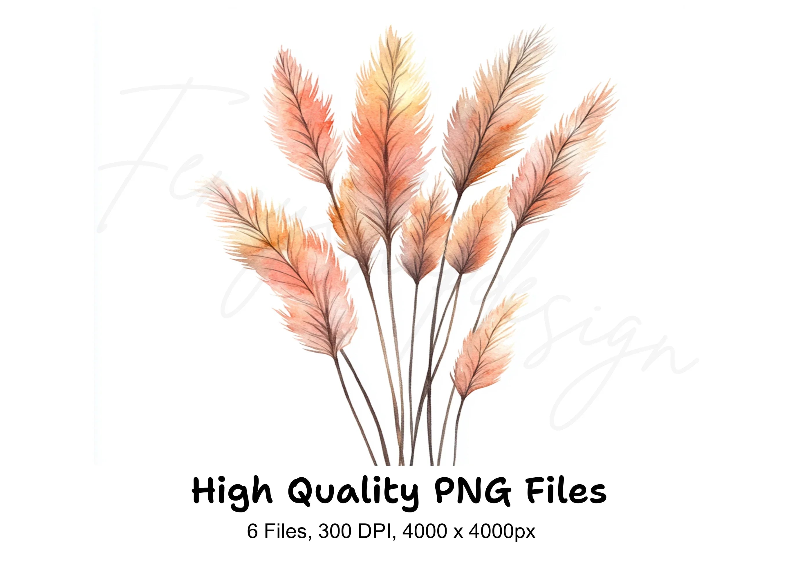 Pampas Grass Clipart Bundle