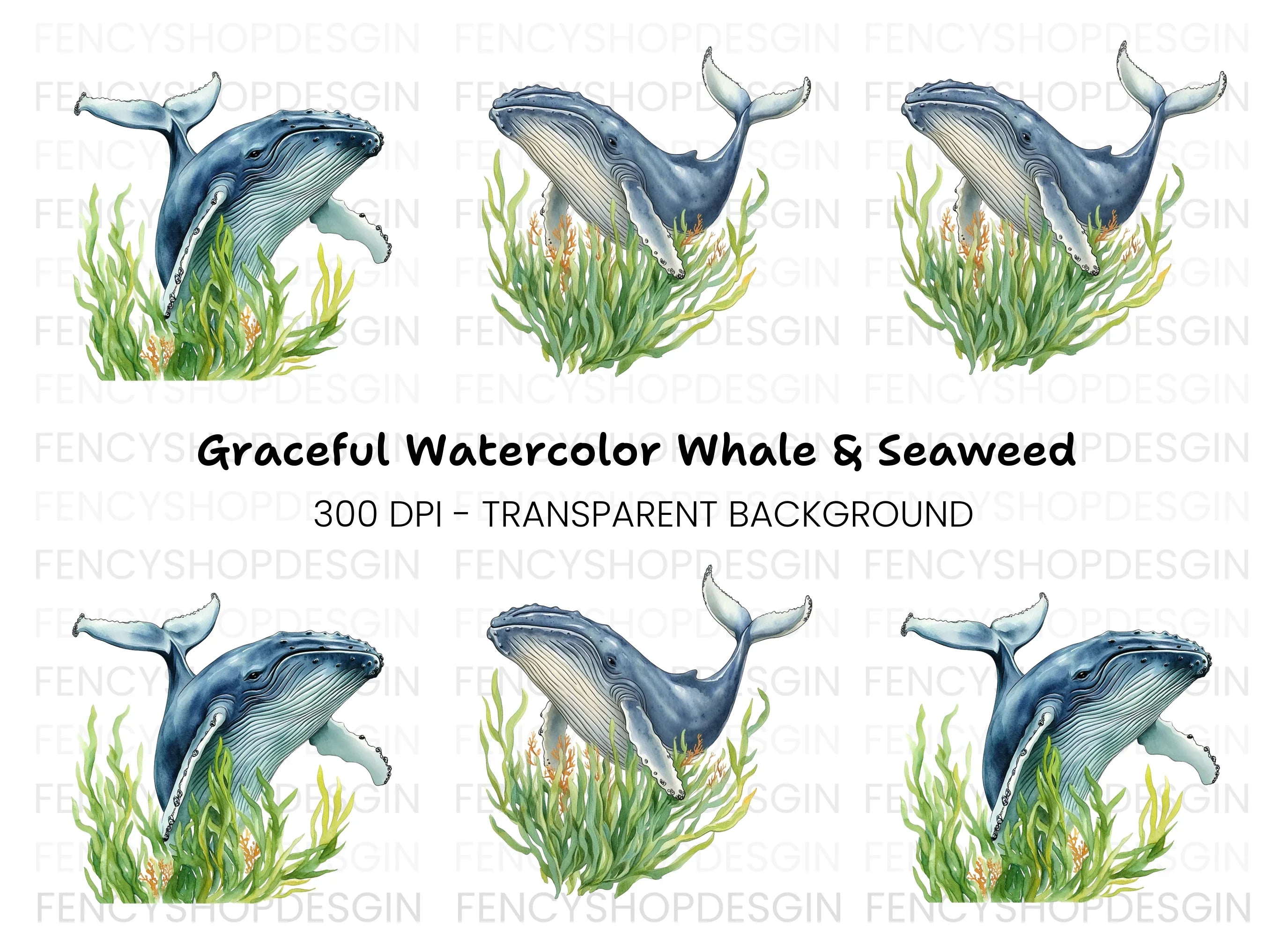 Humpback Whales in Seaweed Clipart Bundle