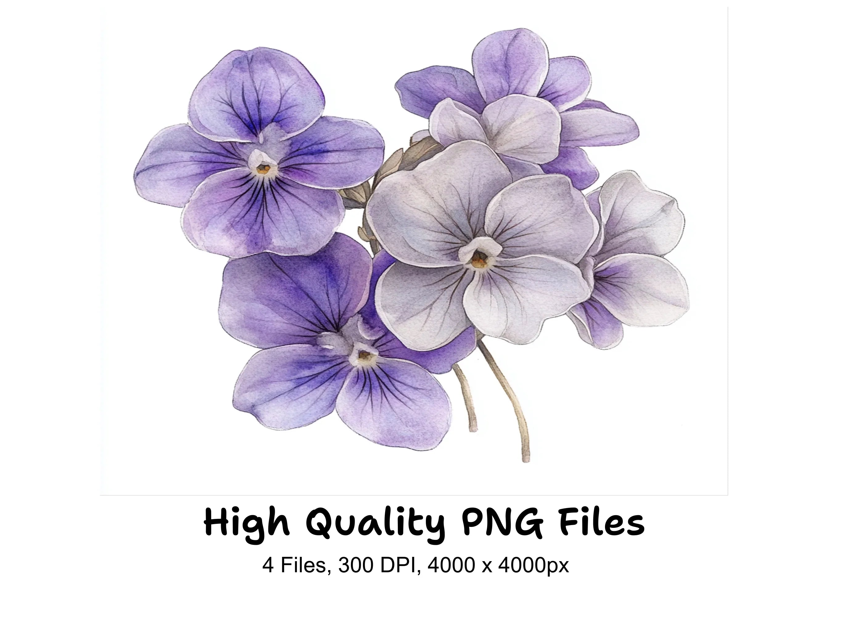 Violet Flower Clipart Bundle