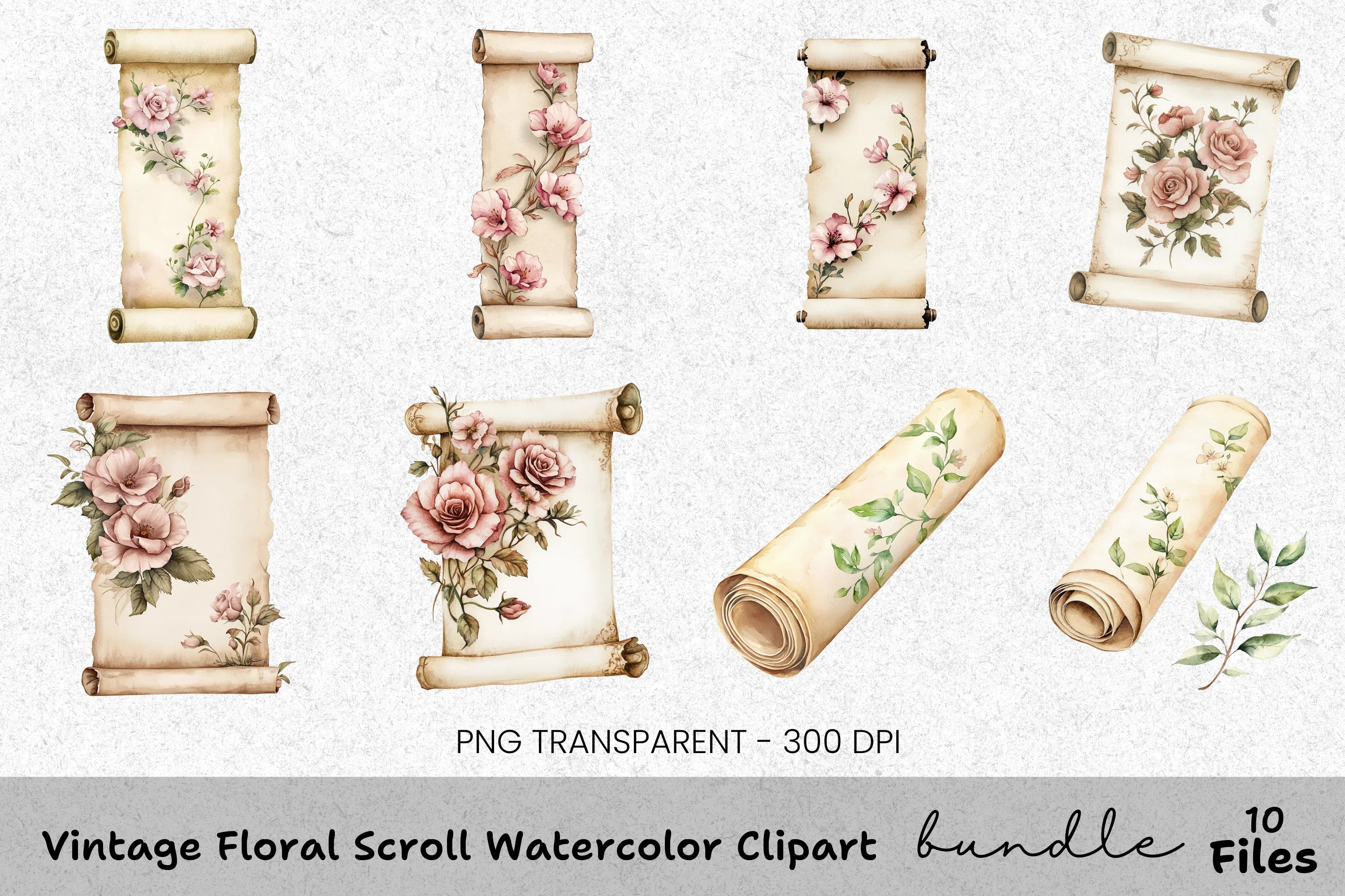 Vintage Floral Scroll Clipart Bundle