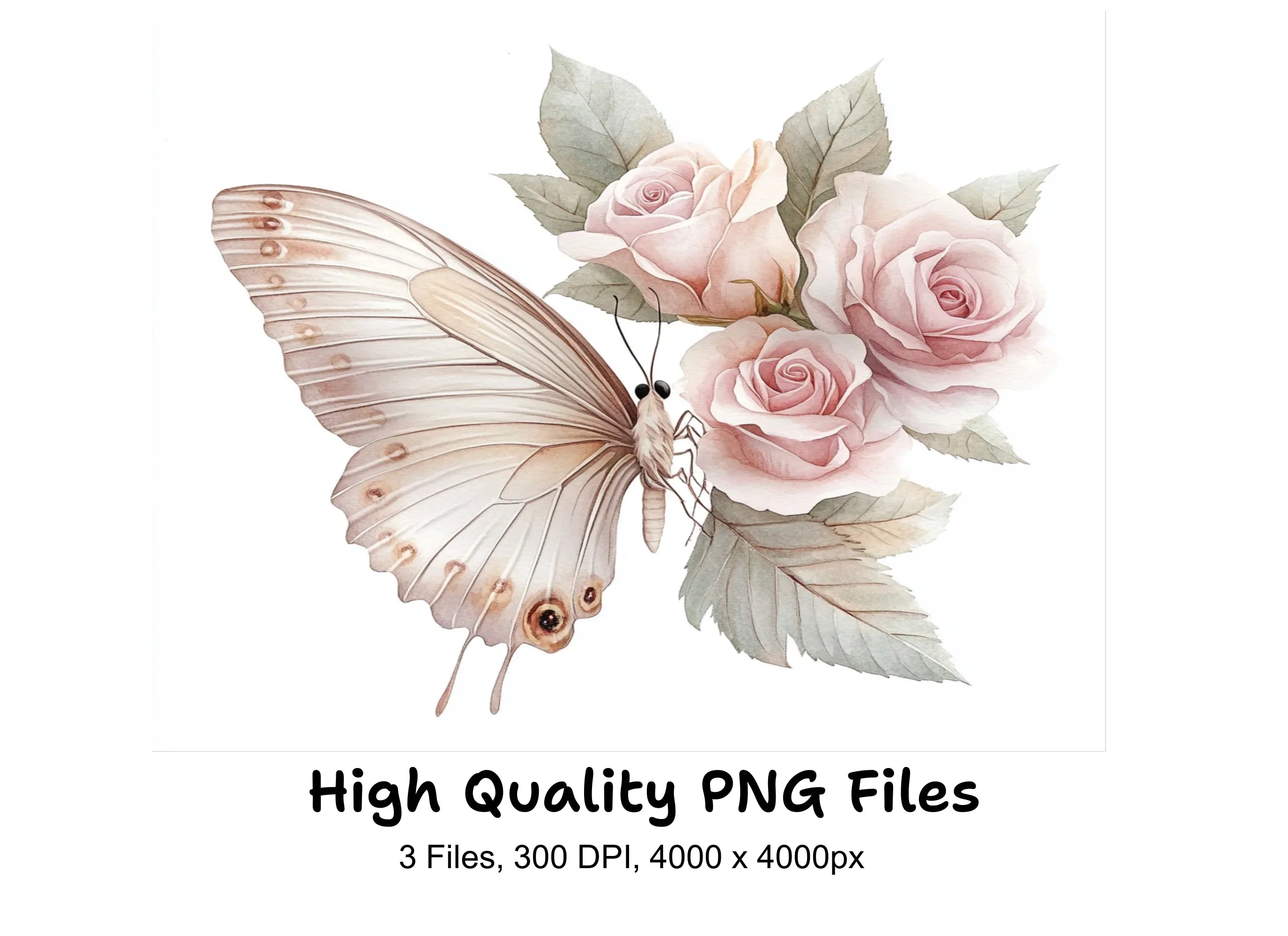 Elegant Butterfly Blush Rose Clipart Bundle