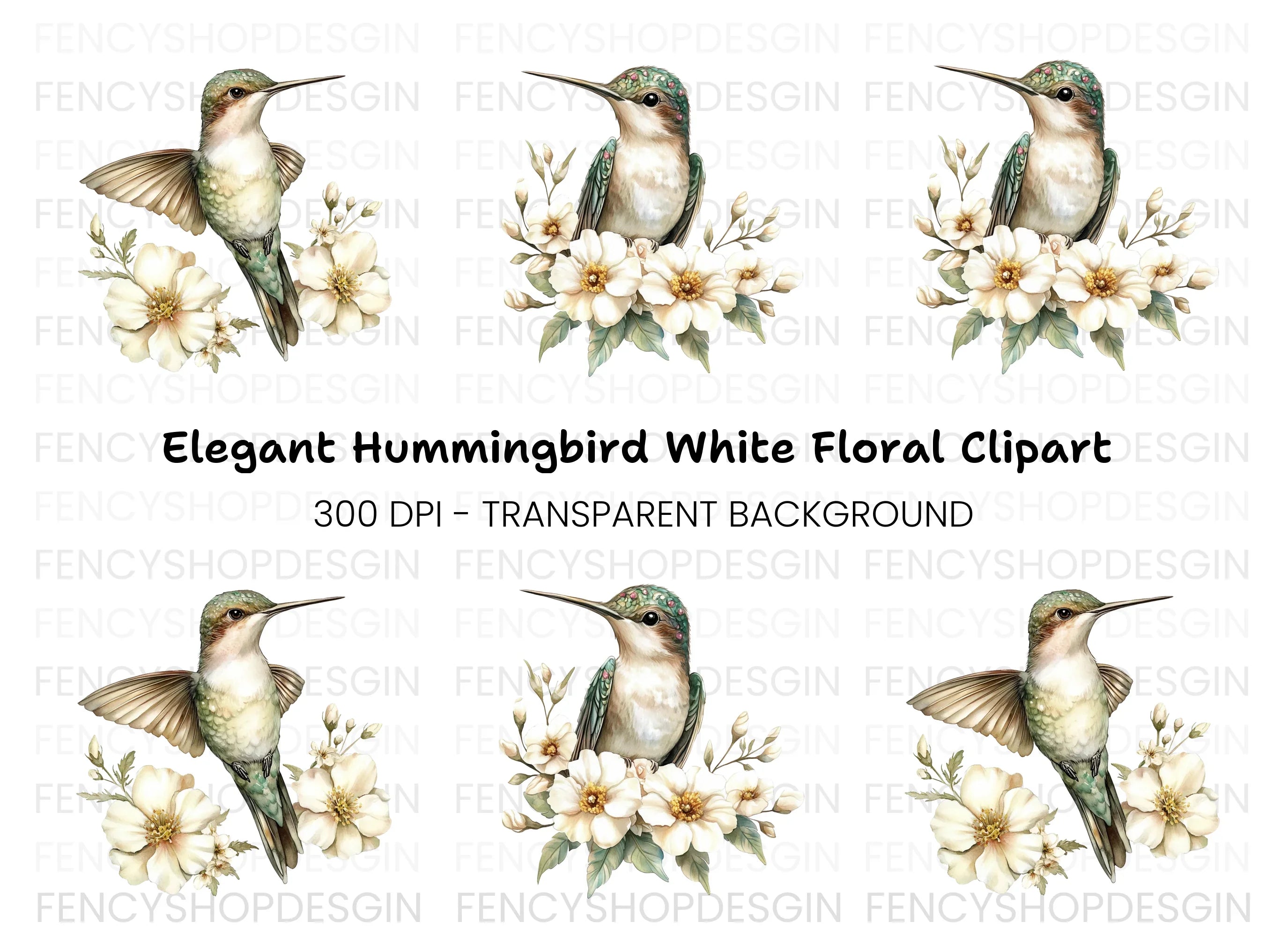 Hummingbird with White Flowers Clipart Bundle