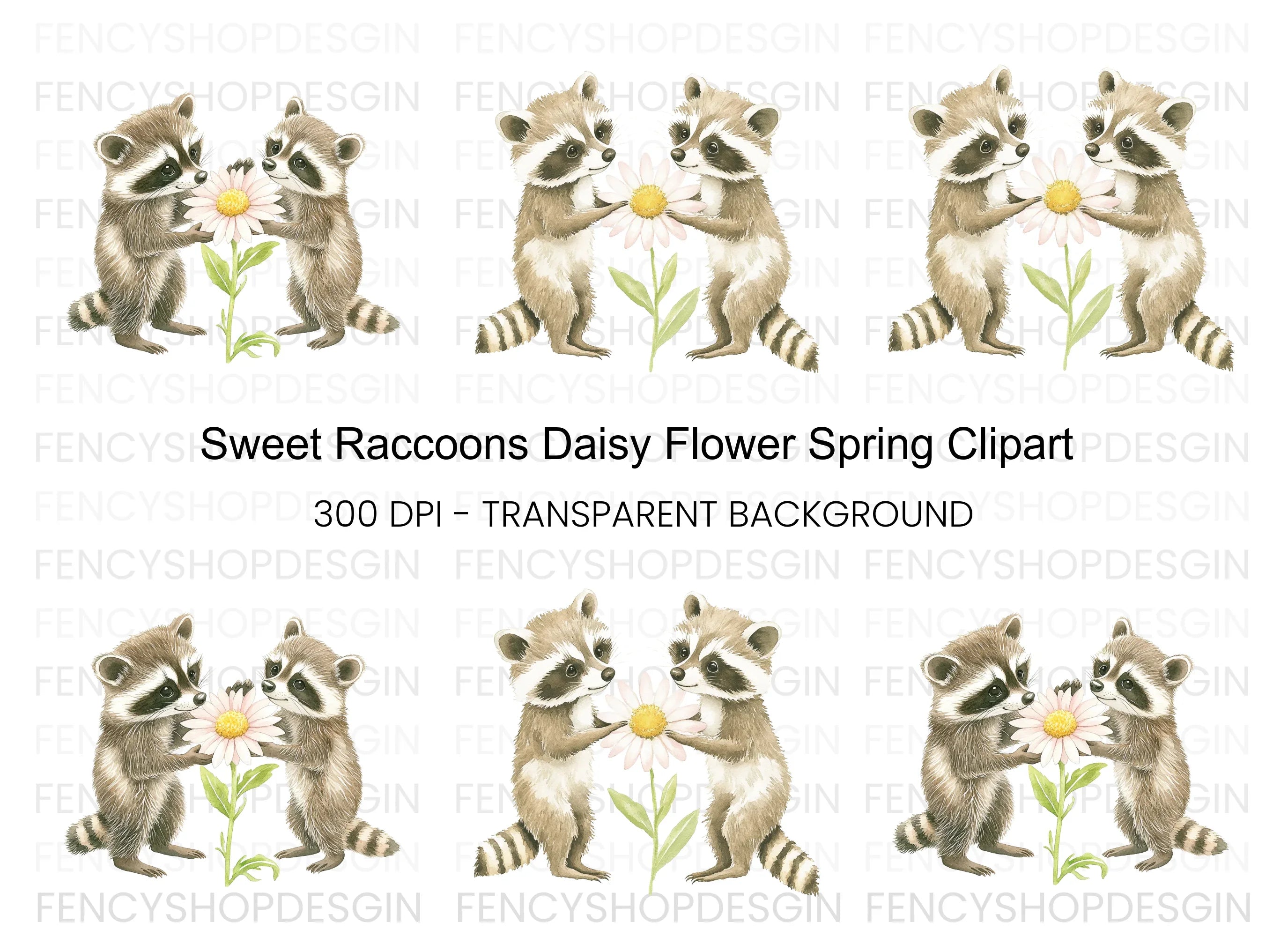 Cute Raccoons with Daisy Clipart Bundle