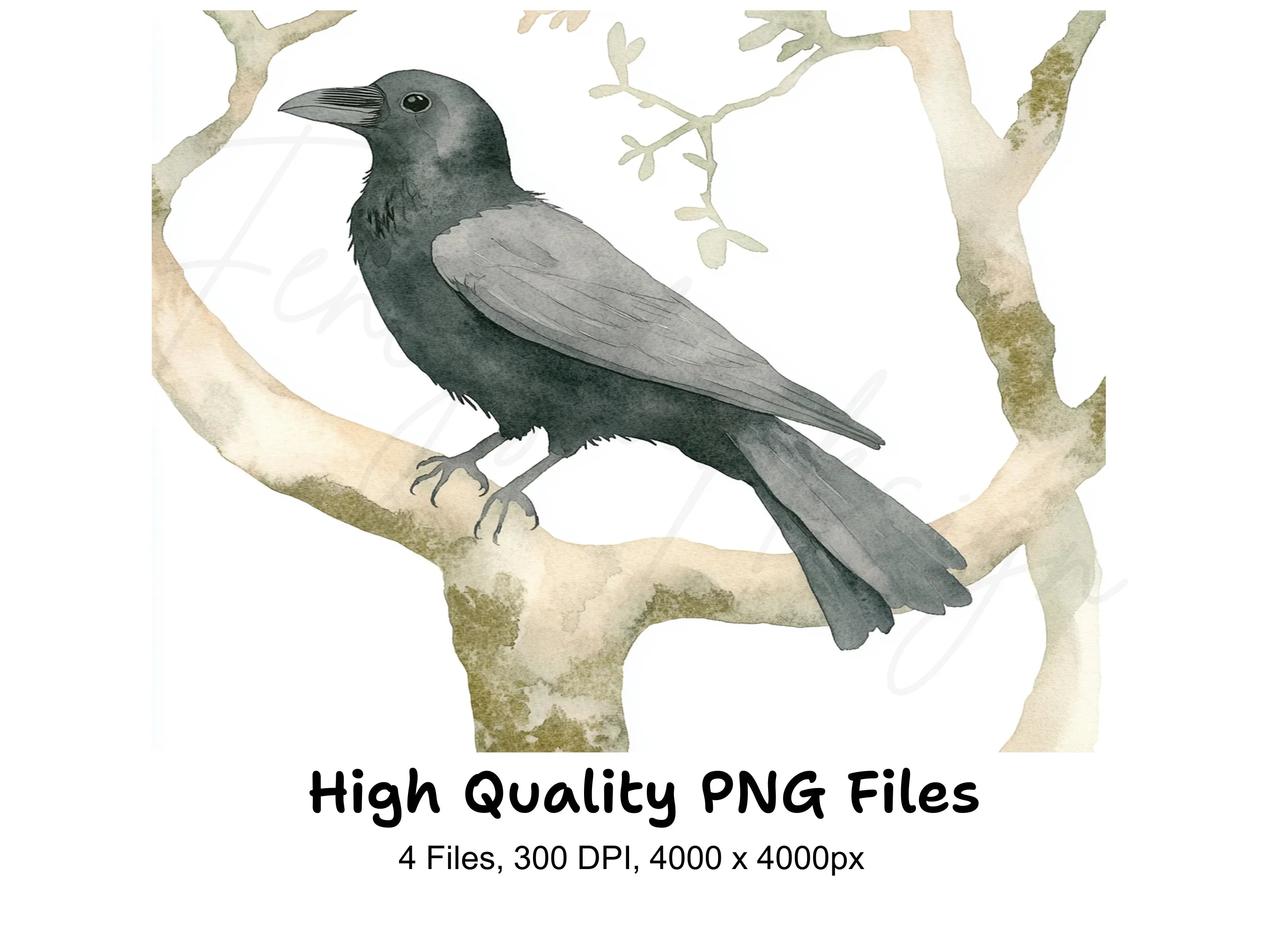 Crows and Greenery Clipart Bundle