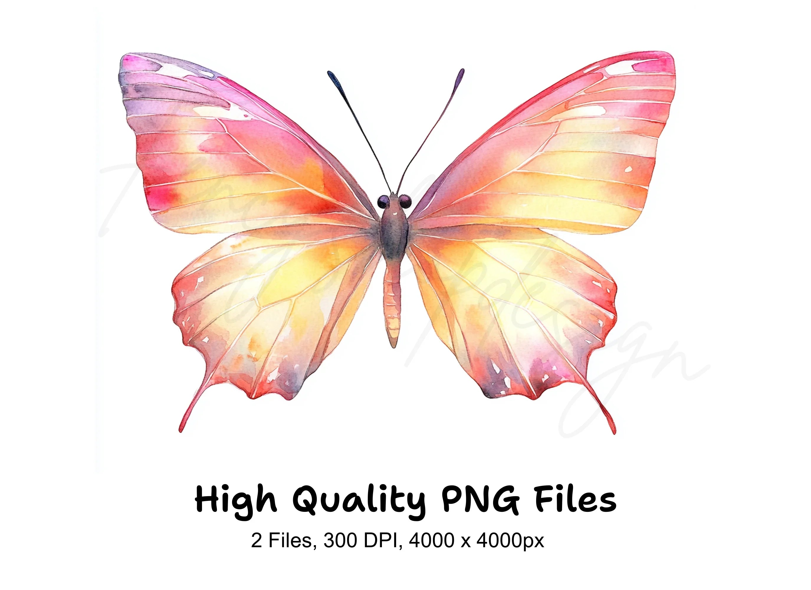 Pink and Orange Butterflies Clipart Bundle