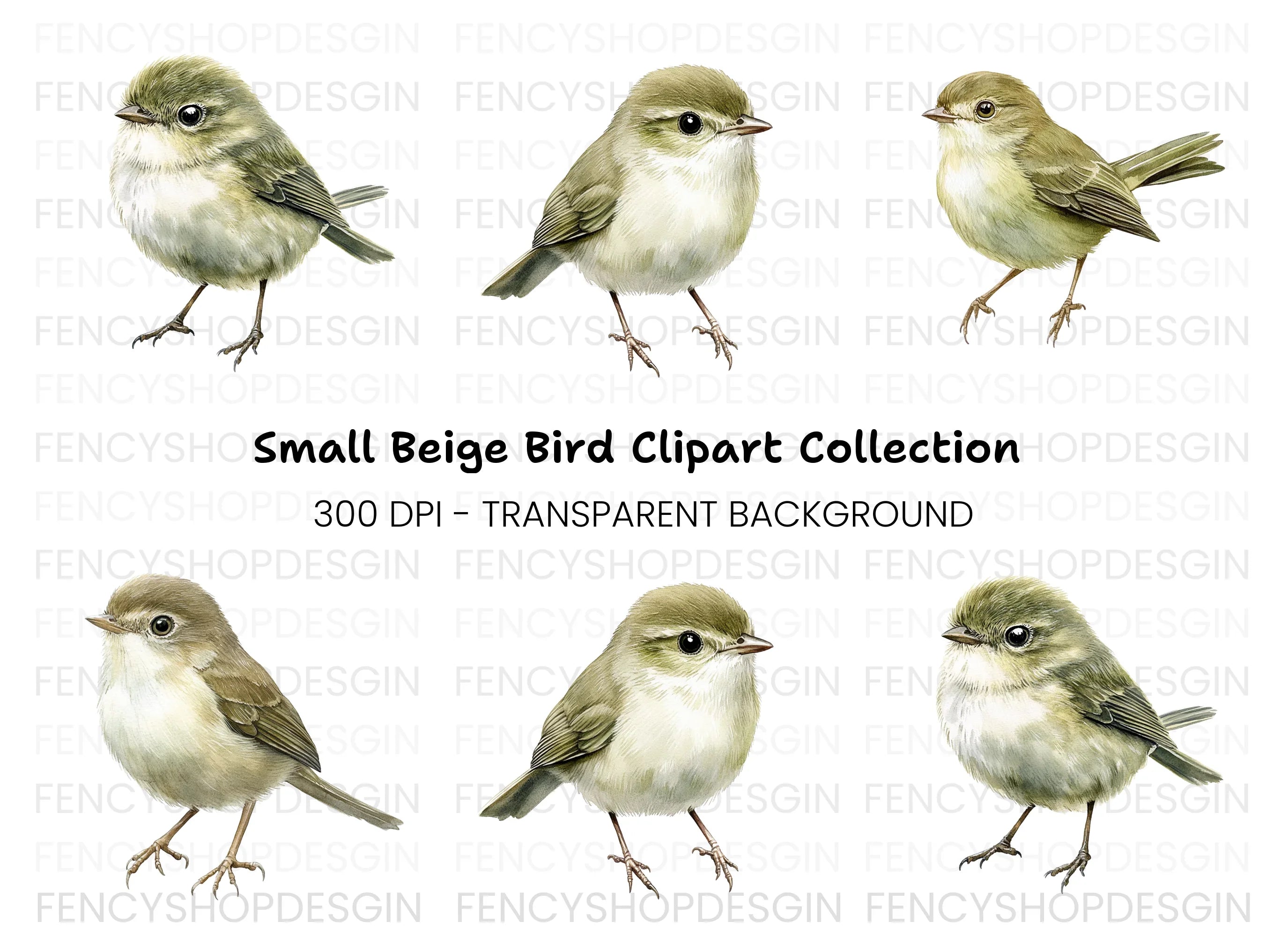 Realistic Small Birds Clipart Bundle