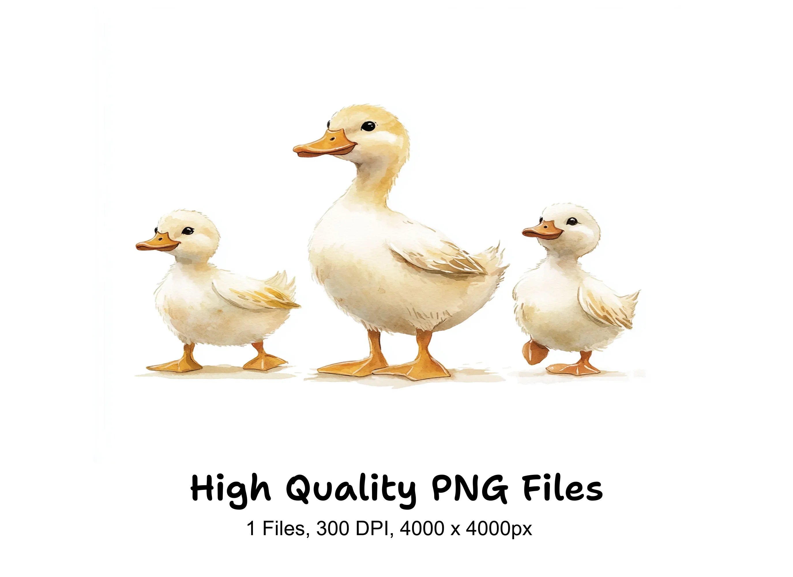 Cute Duck Family Clipart Bundle