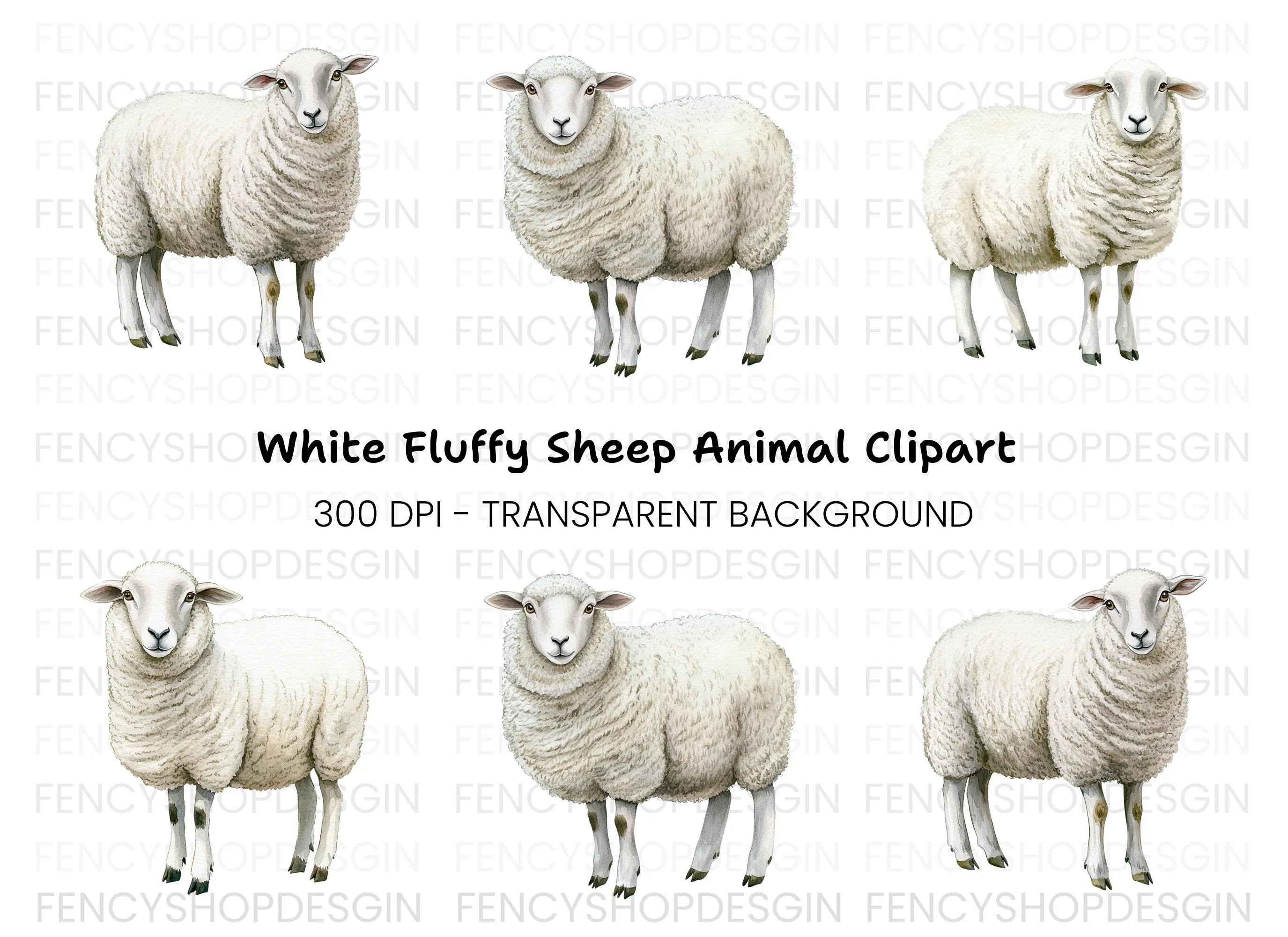 Fluffy White Sheep Clipart Bundle