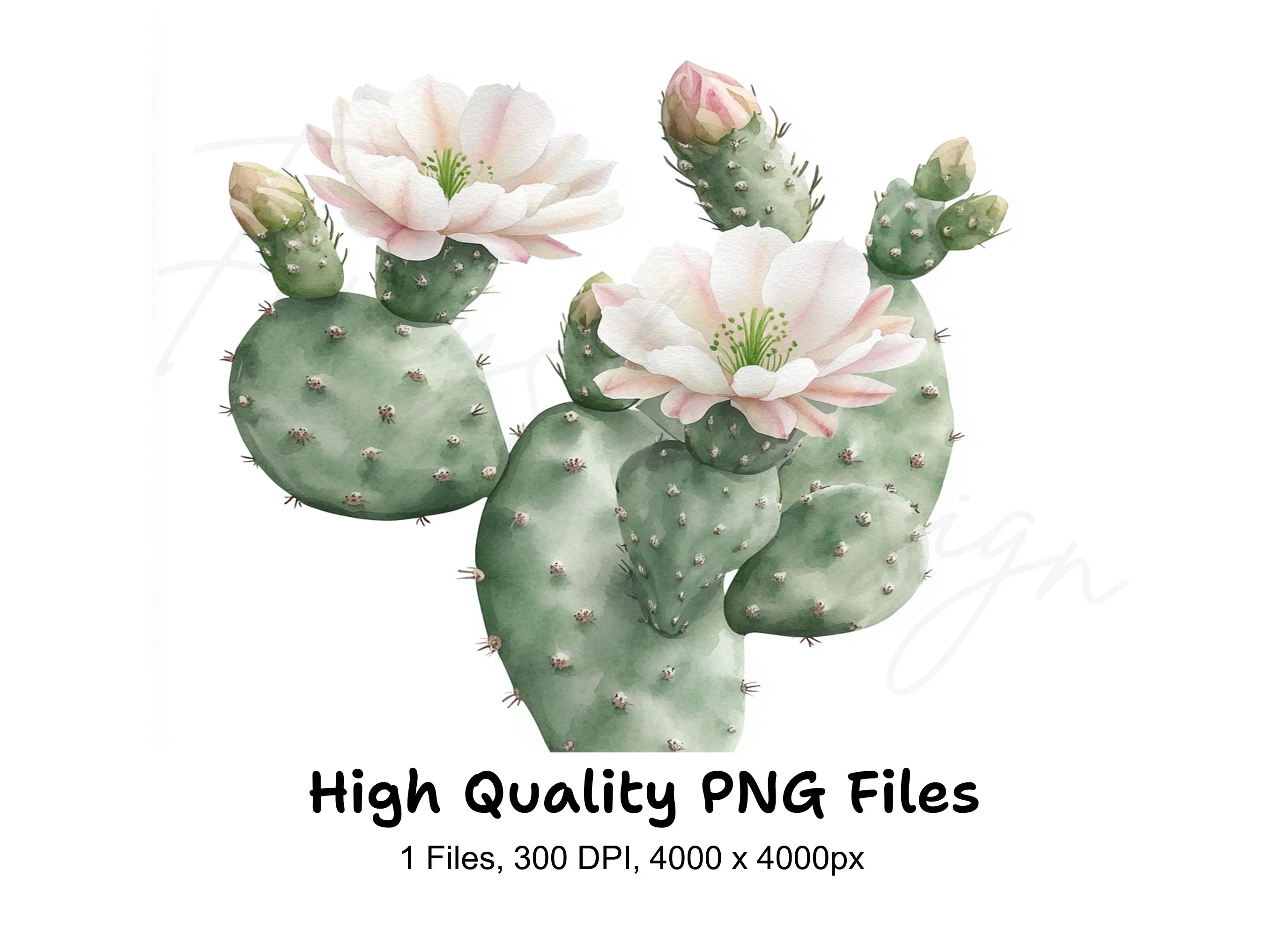 Prickly Pear Cactus Clipart Bundle