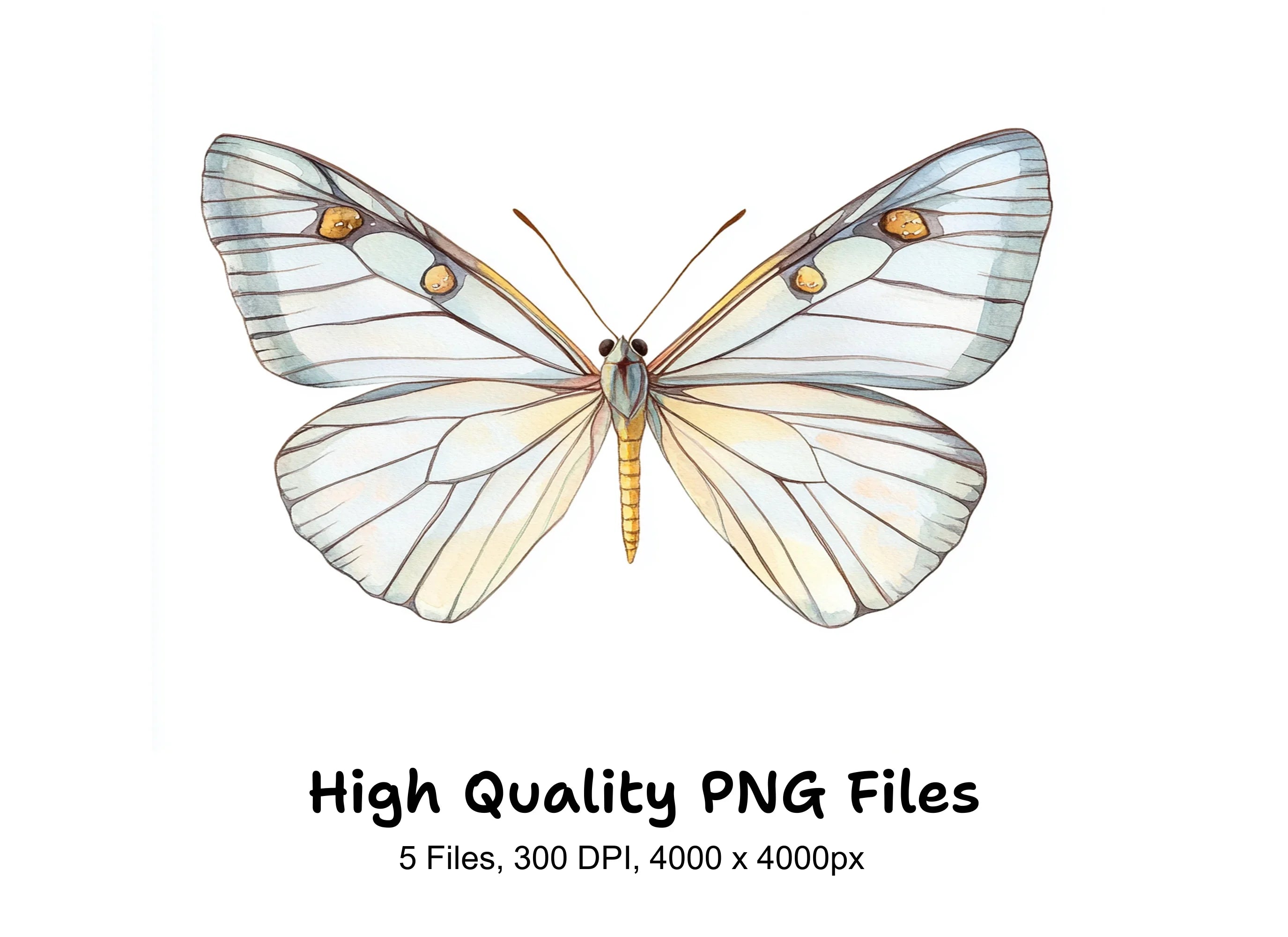 Elegant Butterfly Clipart Bundle