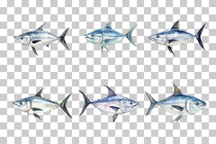 Tuna Fish Marine Life Clipart Bundle - CraftNest - Digital Crafting and Art