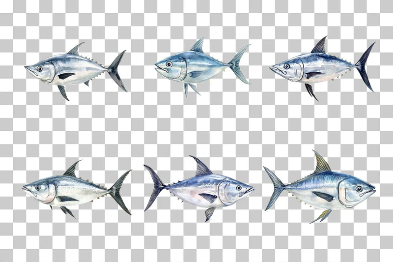 Tuna Fish Marine Life Clipart Bundle - CraftNest - Digital Crafting and Art