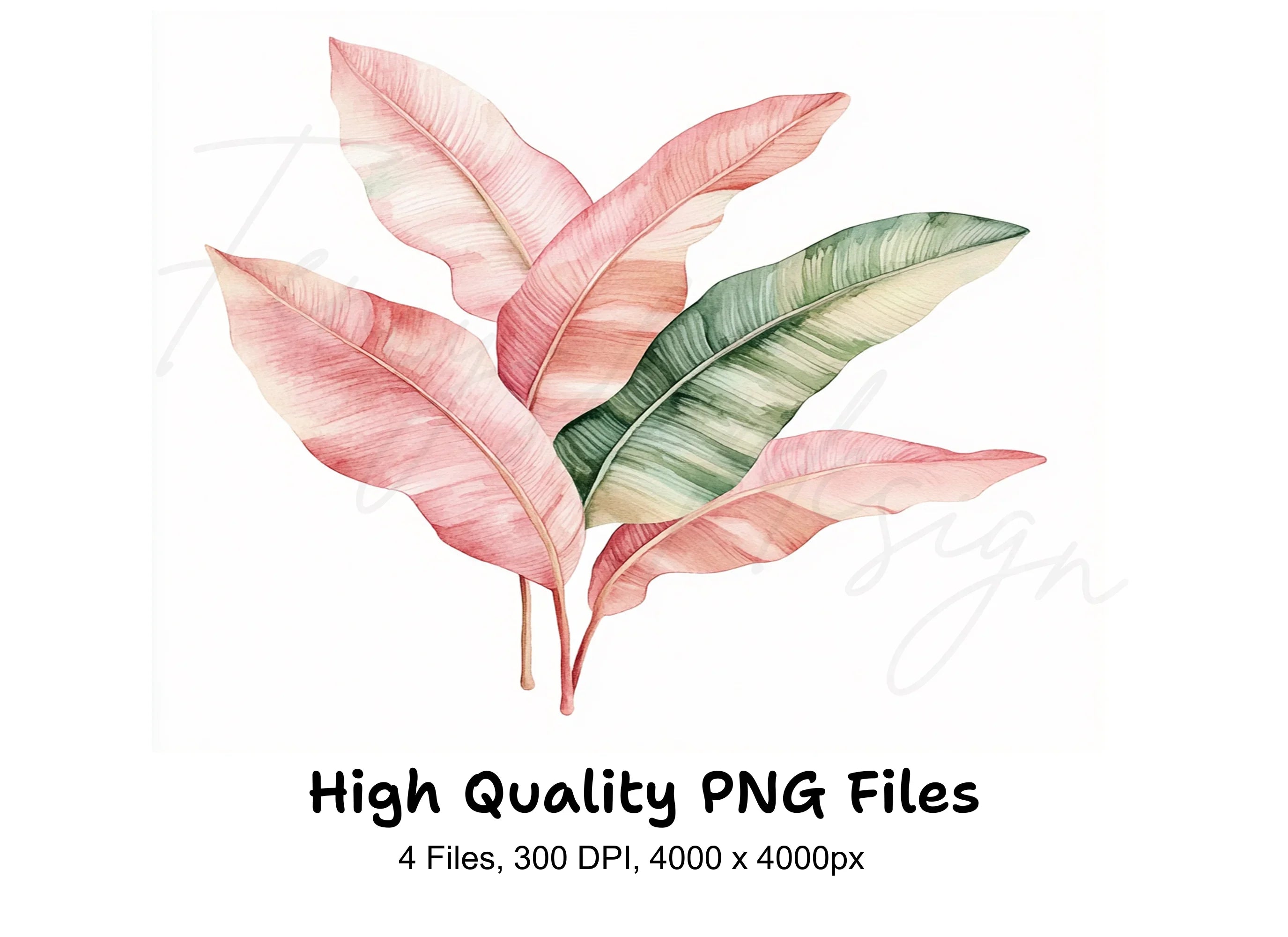 Pink and Green Tropical Leaf Clipart Bundle