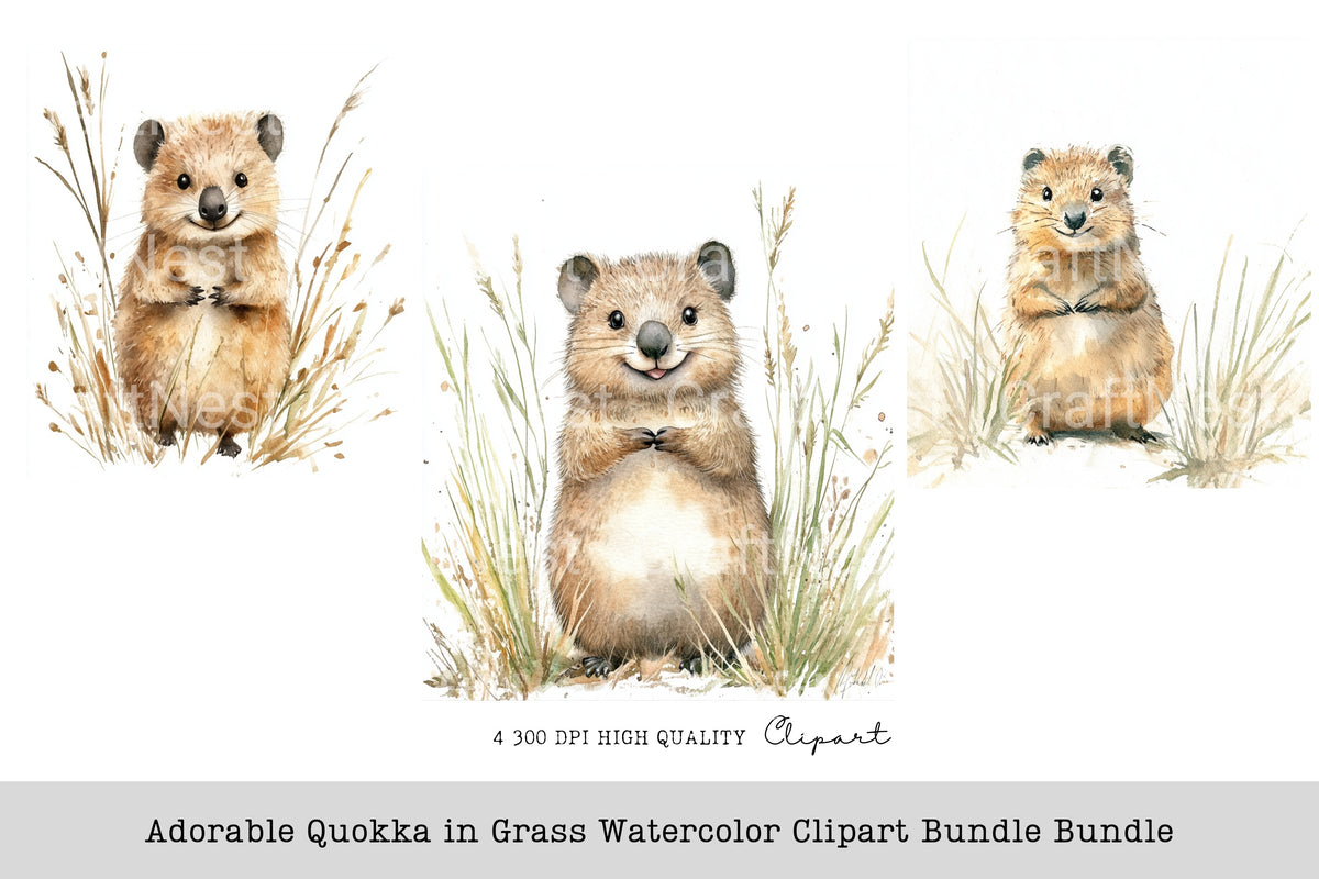 Adorable Quokka In Grass Clipart Bundle