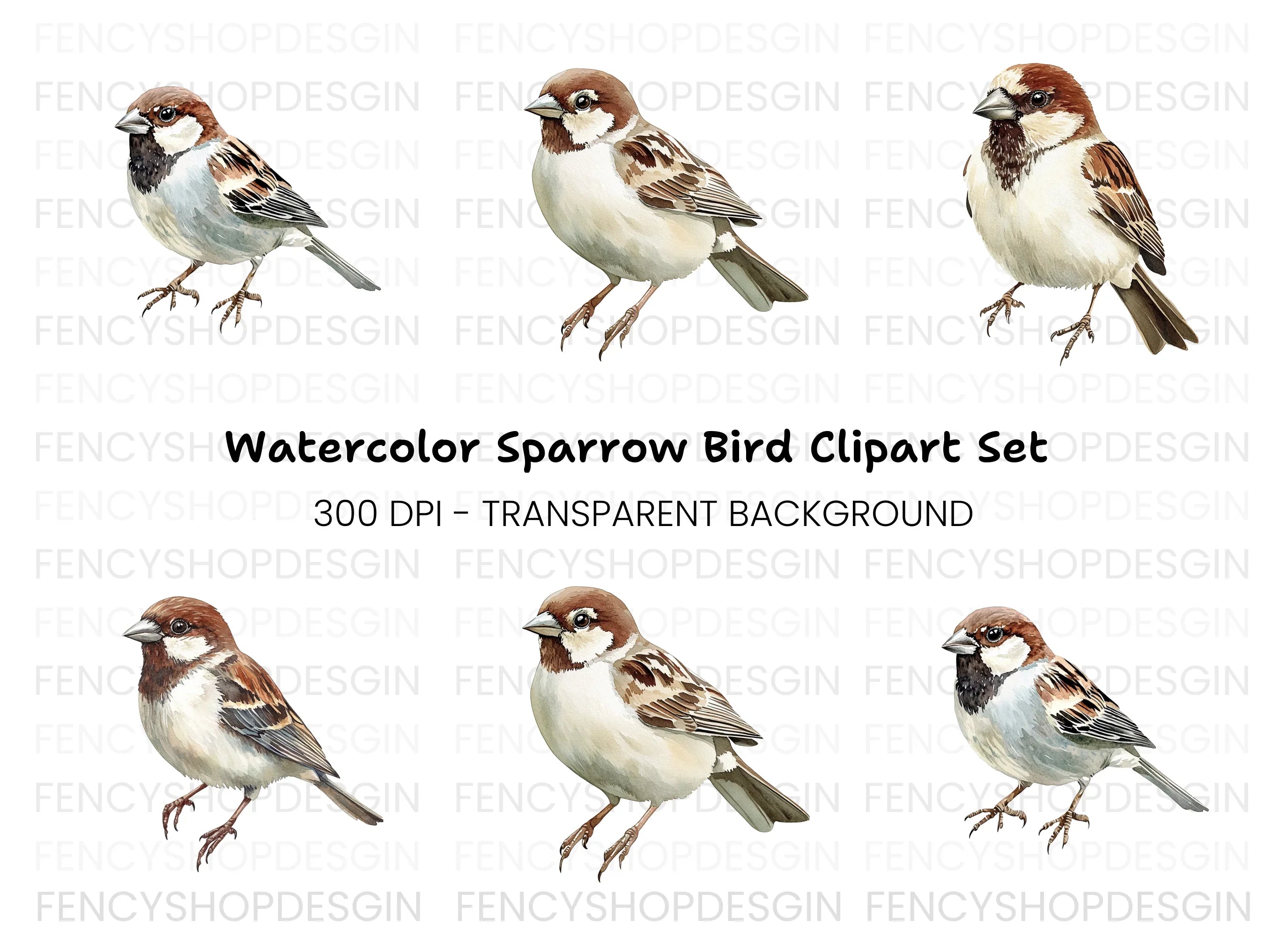 Realistic Sparrow Bird Clipart Bundle