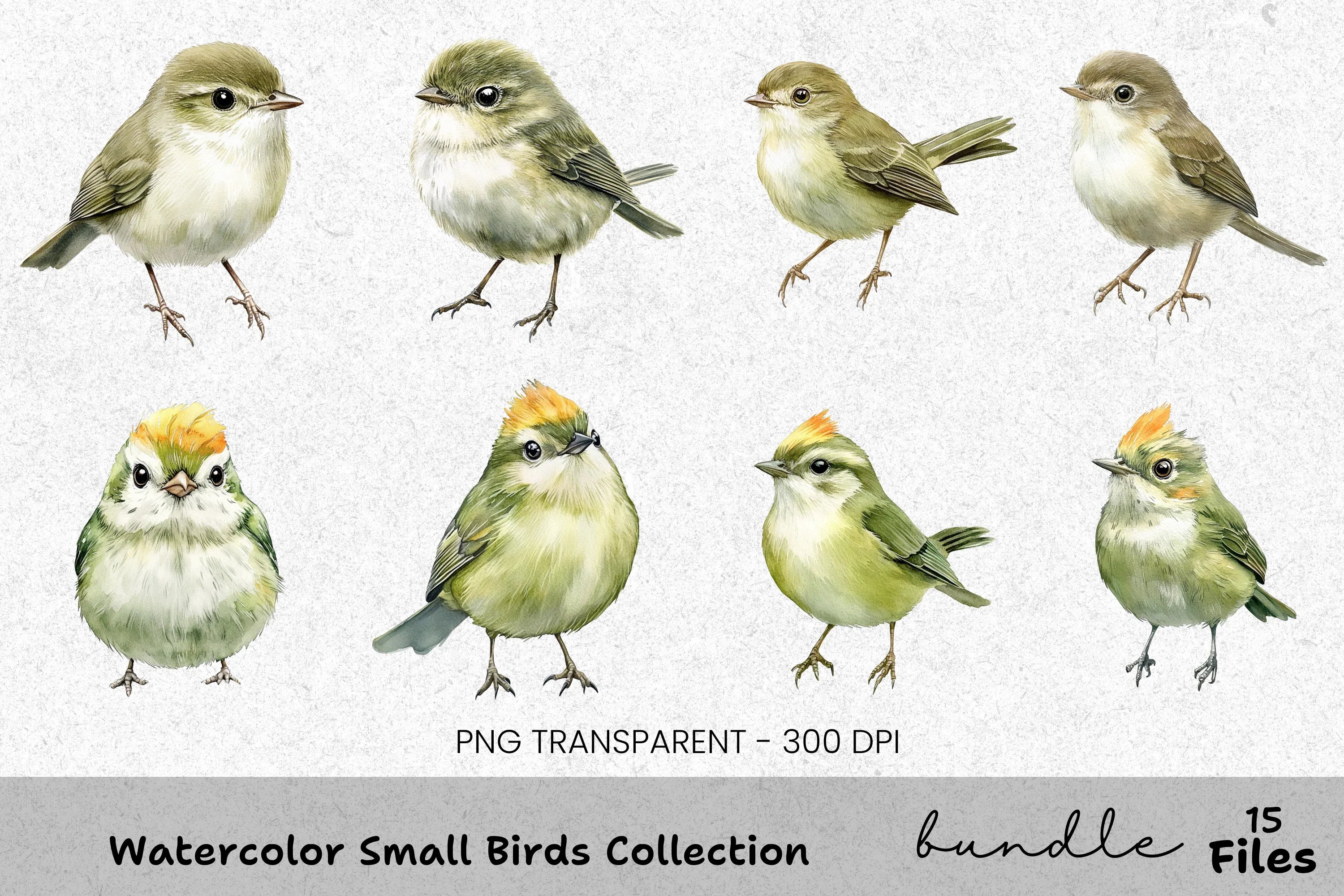 Small Birds Clipart Bundle